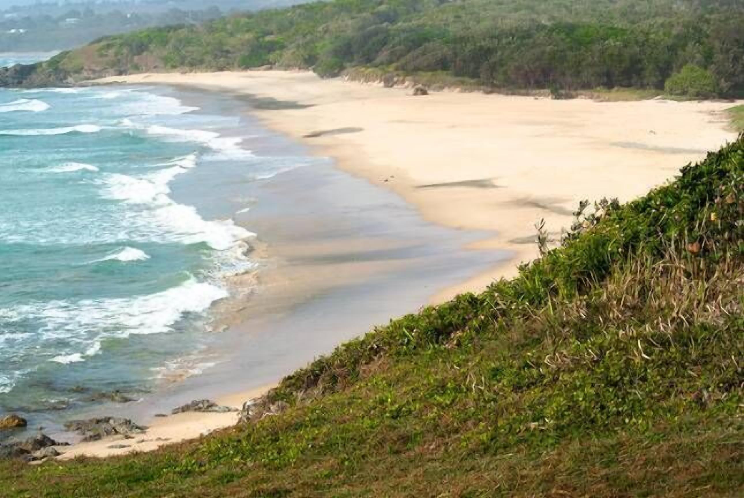 Mullaway Cabins Plantation