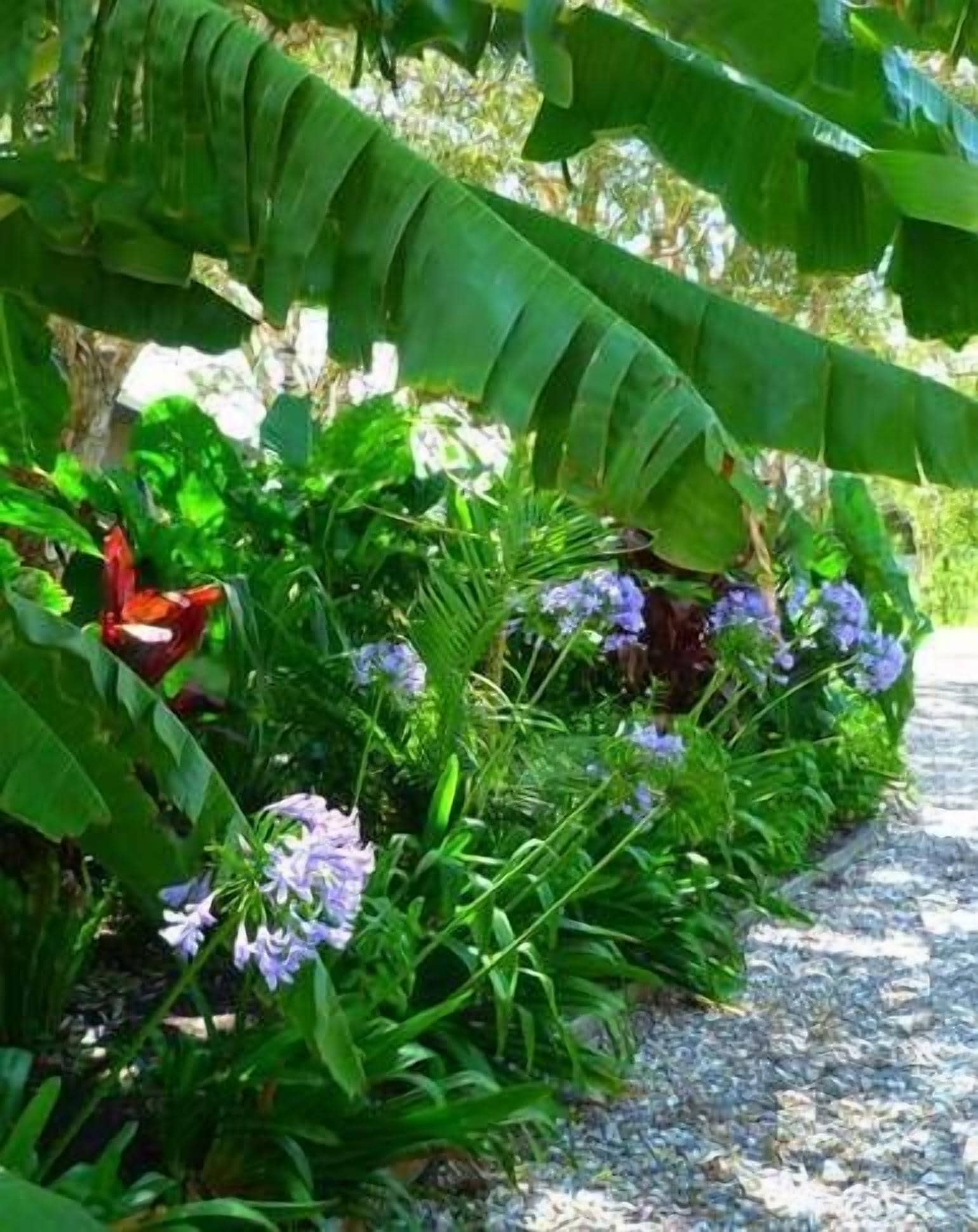 Mullaway Cabins Plantation