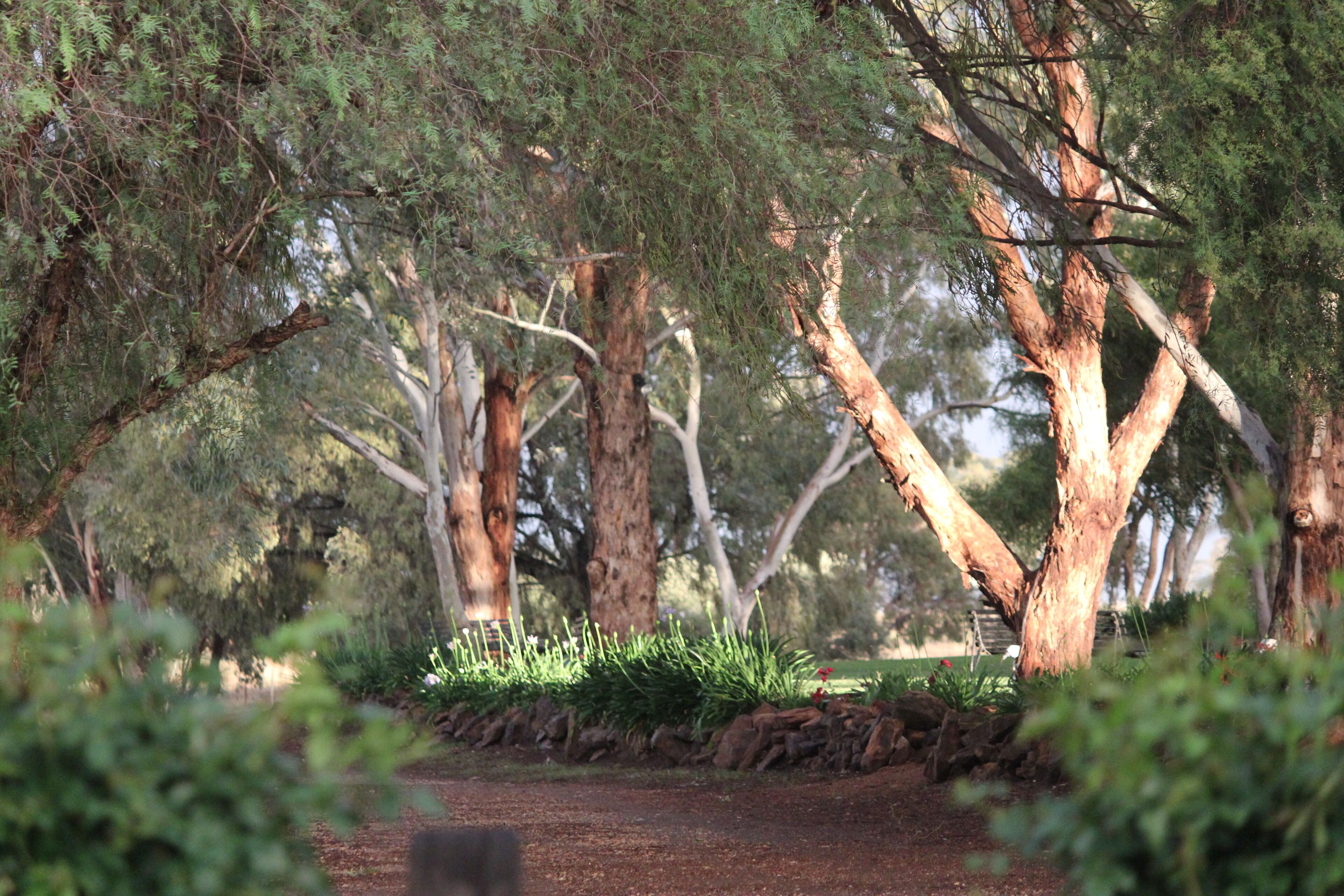 Cellar Guesthouse - Outback Cellar Dubbo