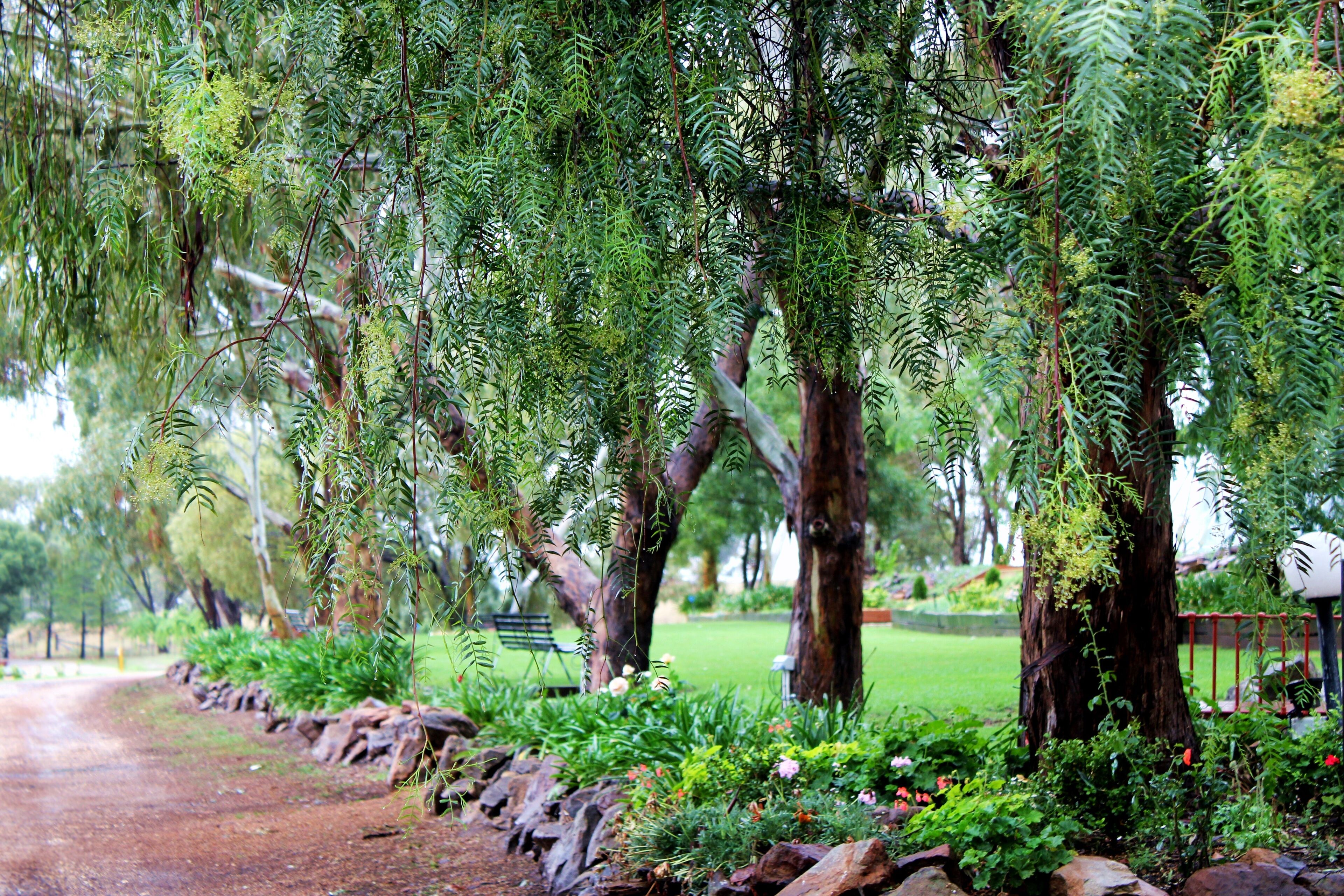 Cellar Guesthouse - Outback Cellar Dubbo