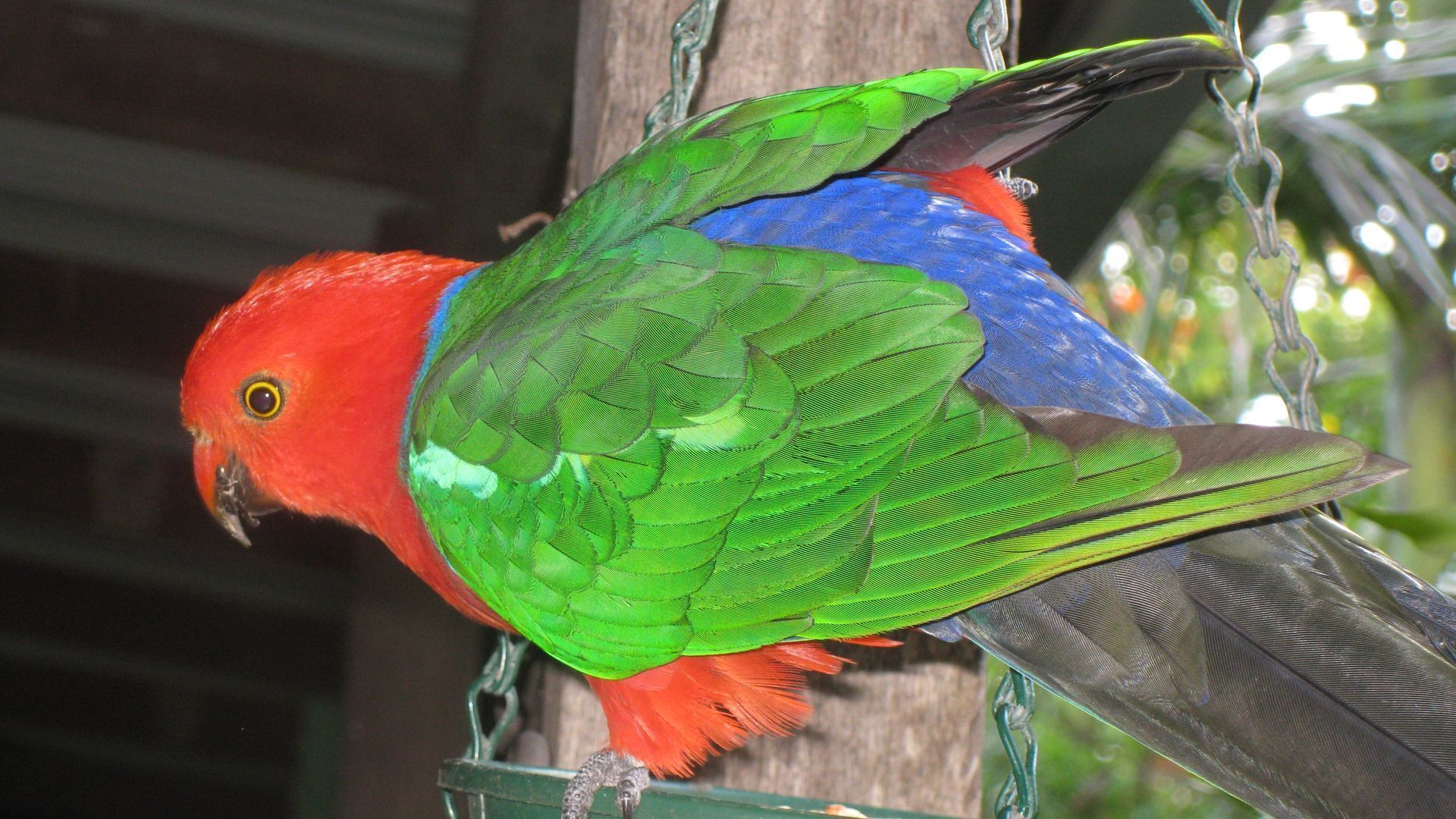 Fairlight Cottage country retreat