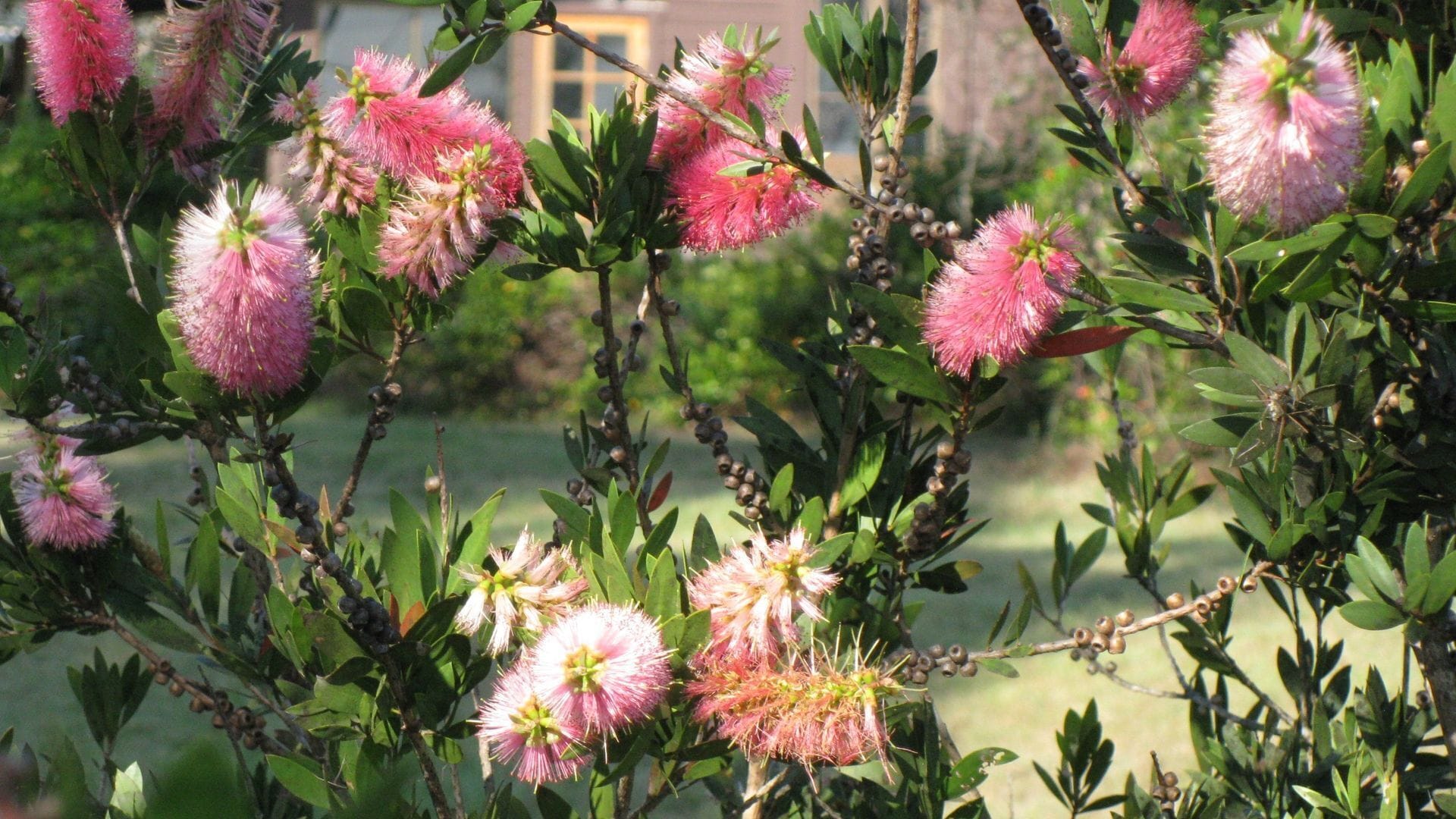 Fairlight Cottage country retreat