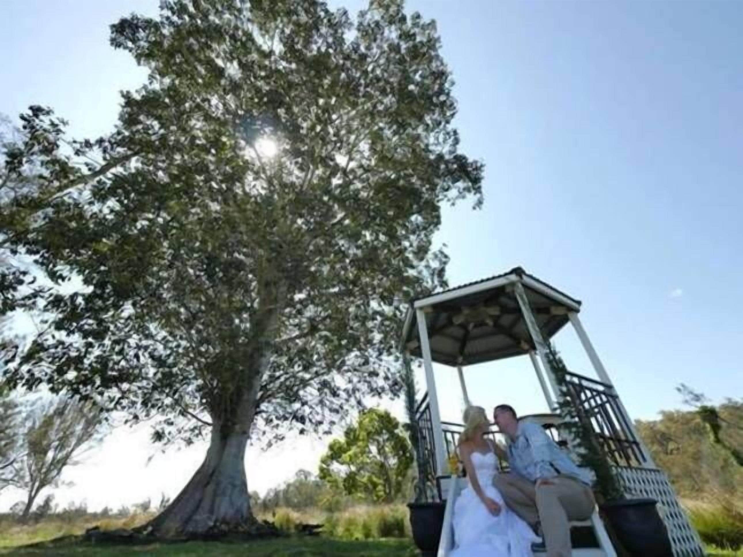 Pillar Rock Farm - 270acre farm, 15mins to beaches