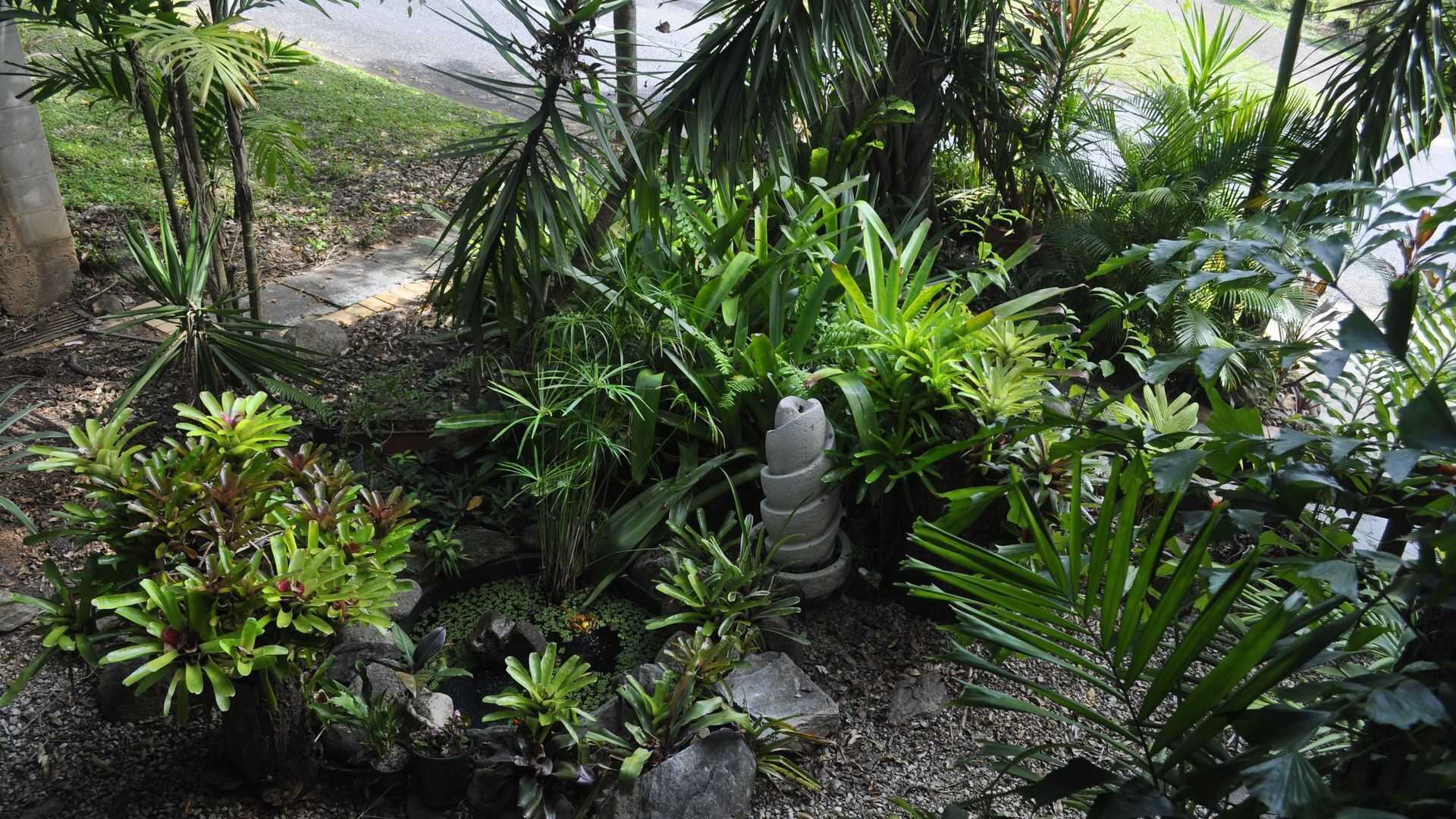 Rainforest Paradise, Close to Cairns CBD