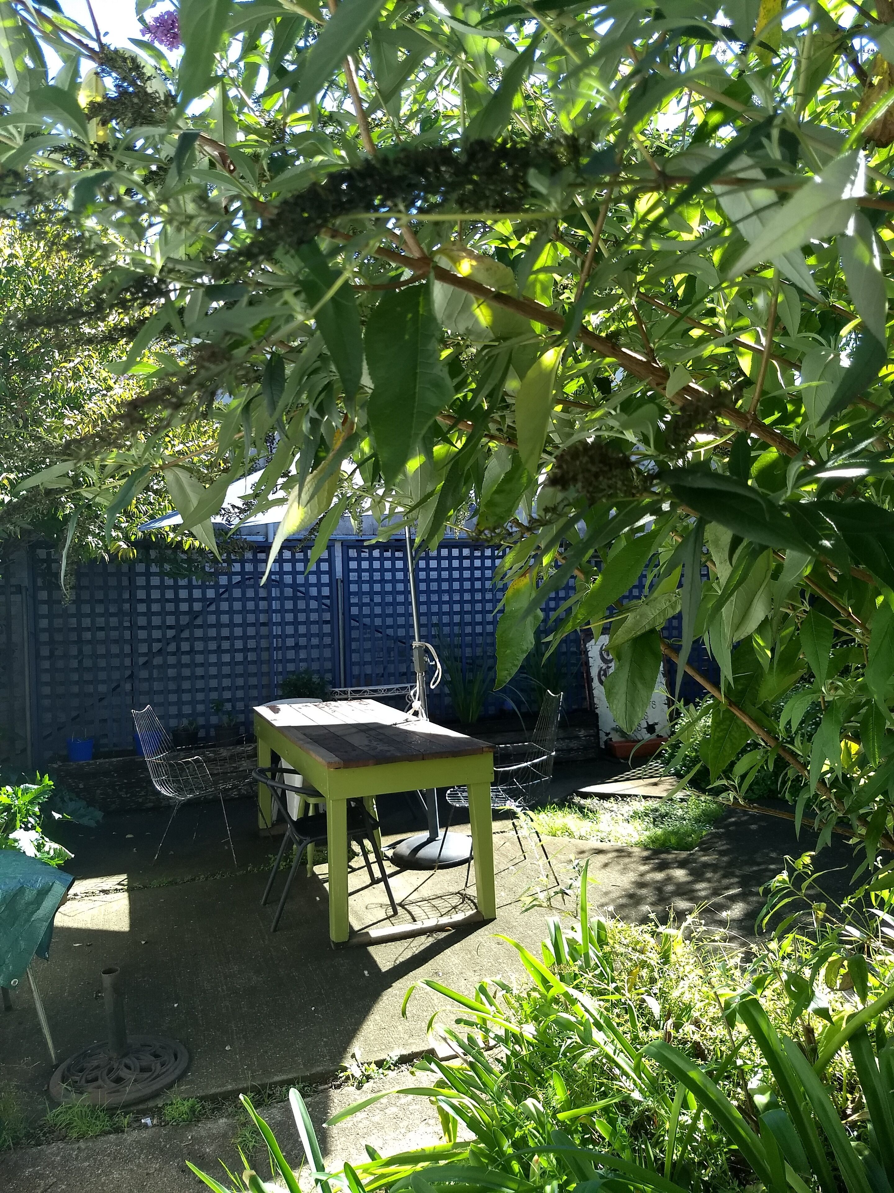 41 Hickory heritage cottage in town