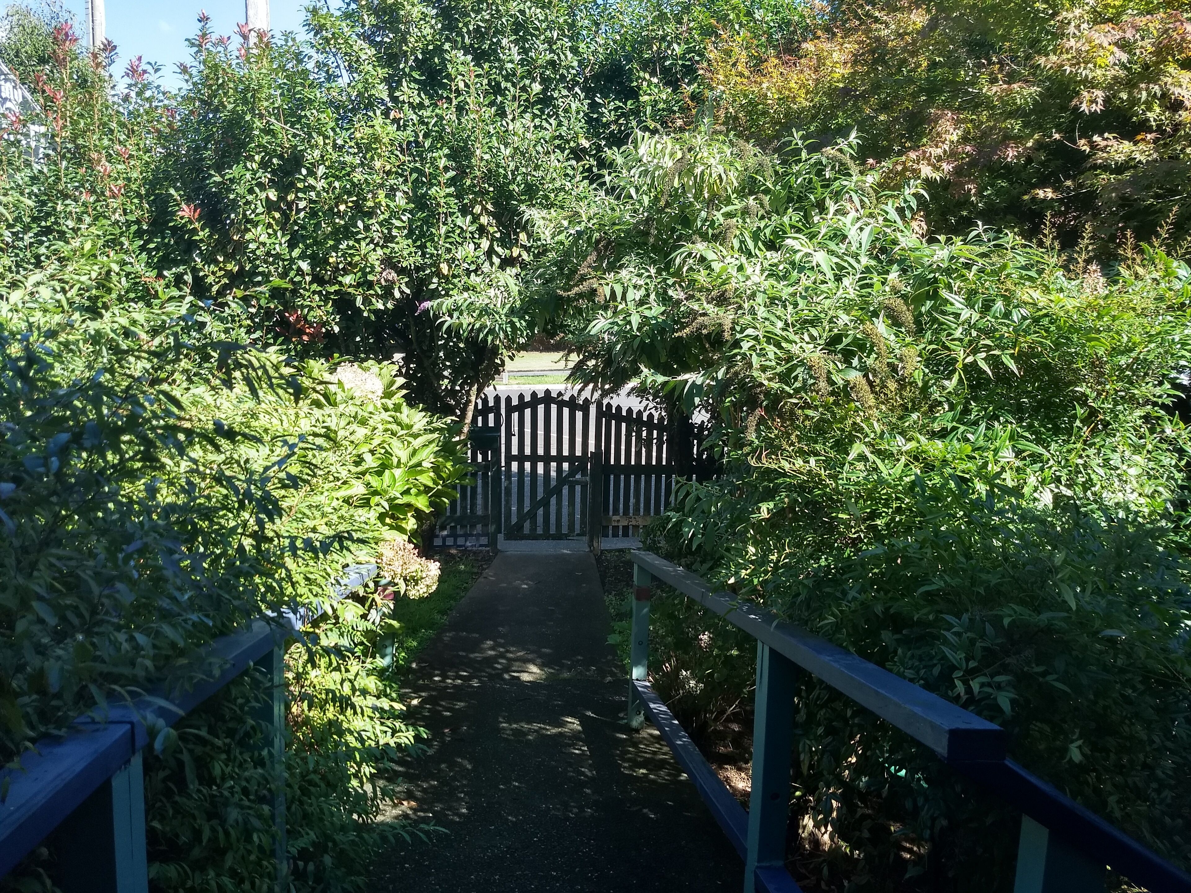 41 Hickory heritage cottage in town