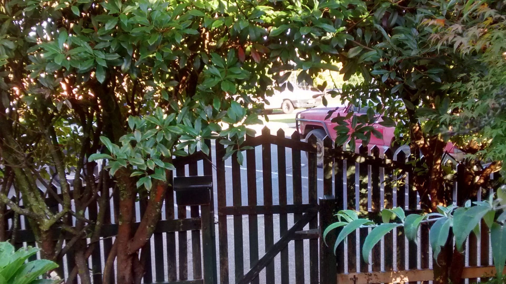 41 Hickory heritage cottage in town