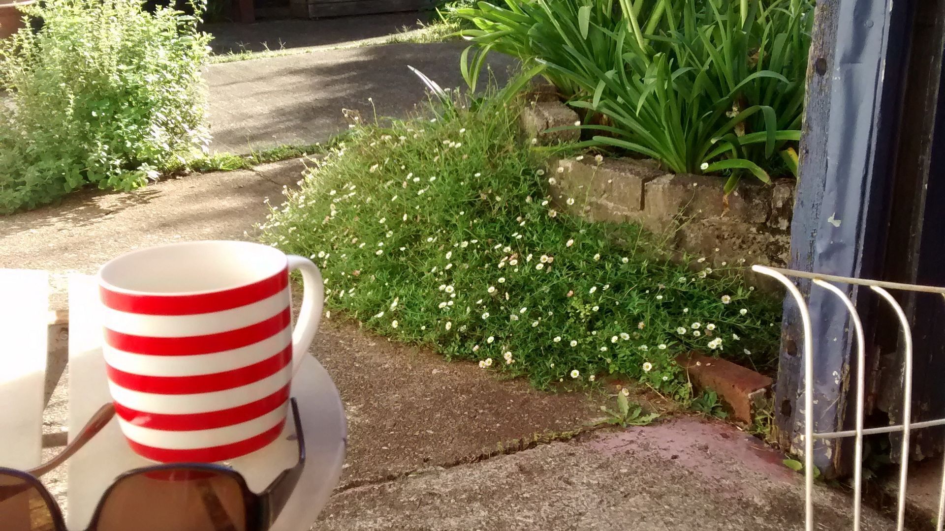 41 Hickory heritage cottage in town