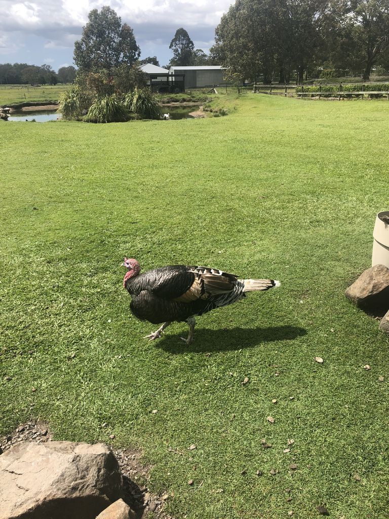 Sarah's On Greenacres