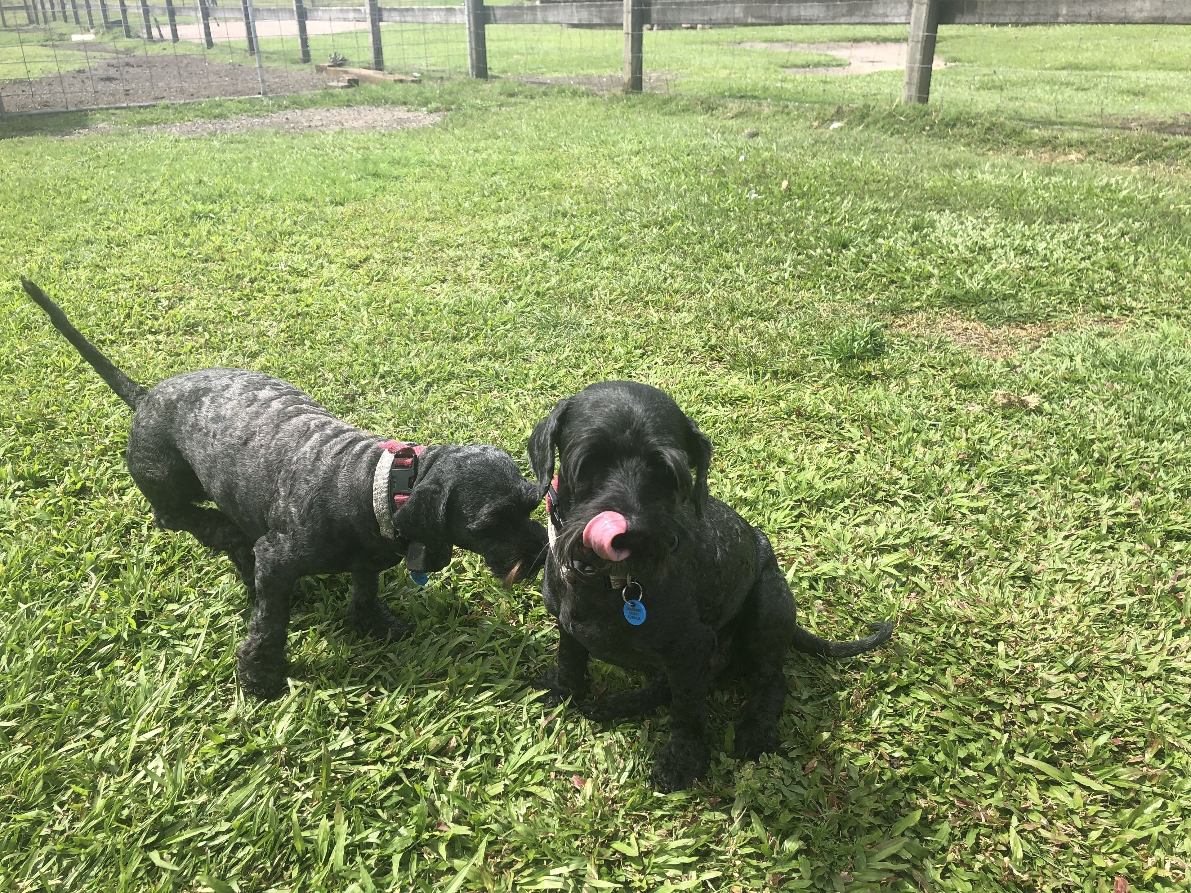 Sarah's On Greenacres