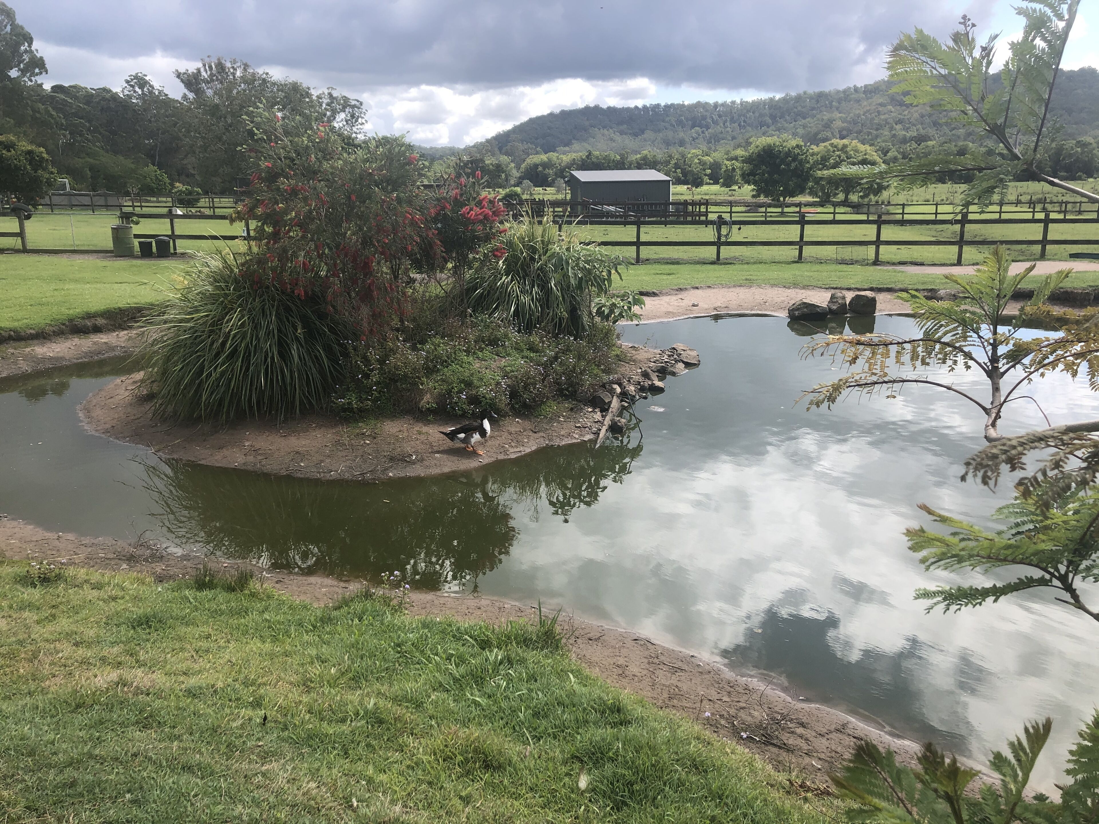 Sarah's On Greenacres