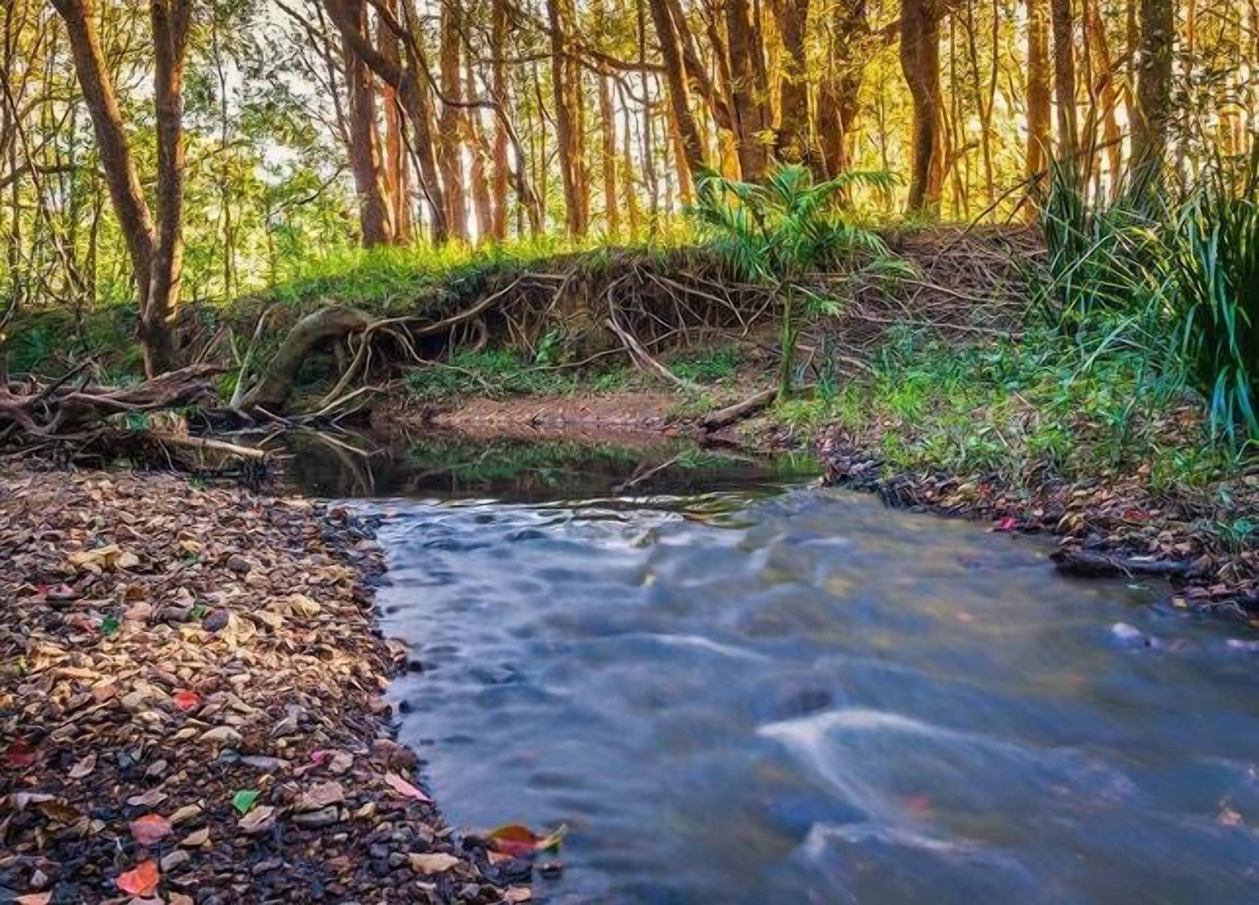 Stokers Lodge - the Heart of the Byron and Tweed