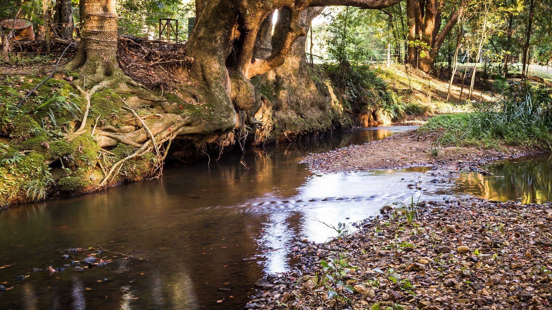 Stokers Lodge - the Heart of the Byron and Tweed