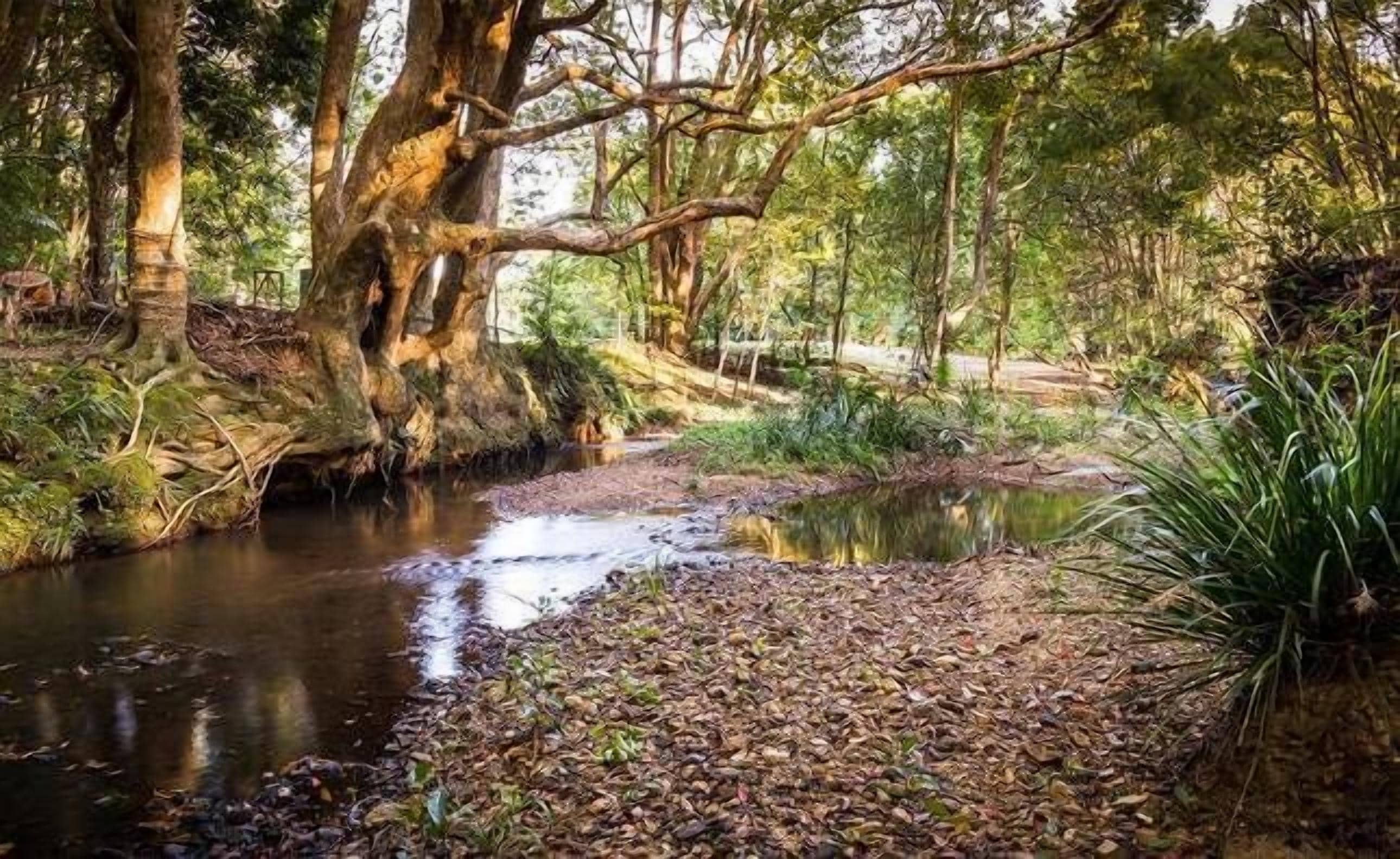 Stokers Lodge - the Heart of the Byron and Tweed