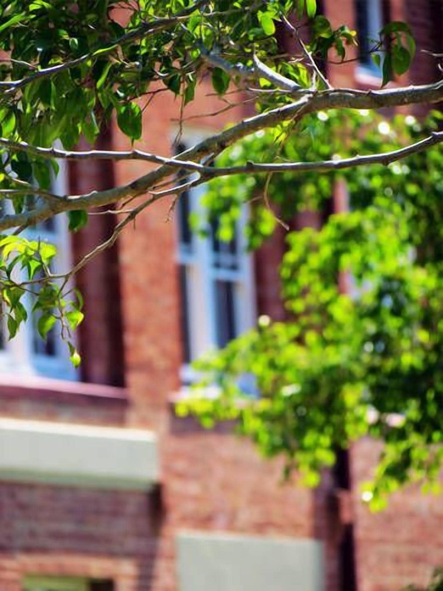 Quintessential Woolstore Warehouse~1bed/1bath/1car