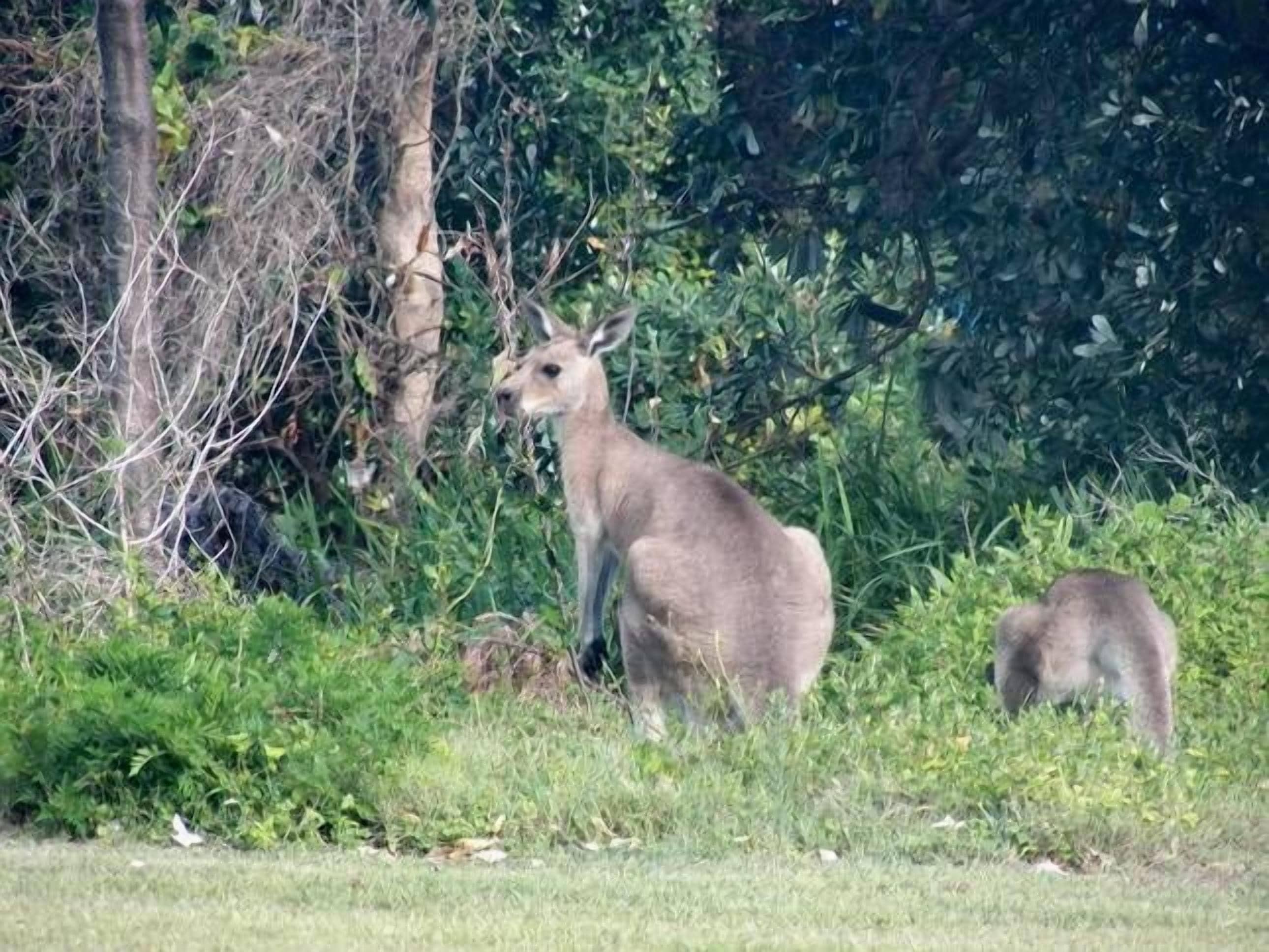 Beachcombers. Unit 3-Spacious, Comfy & GREAT Value