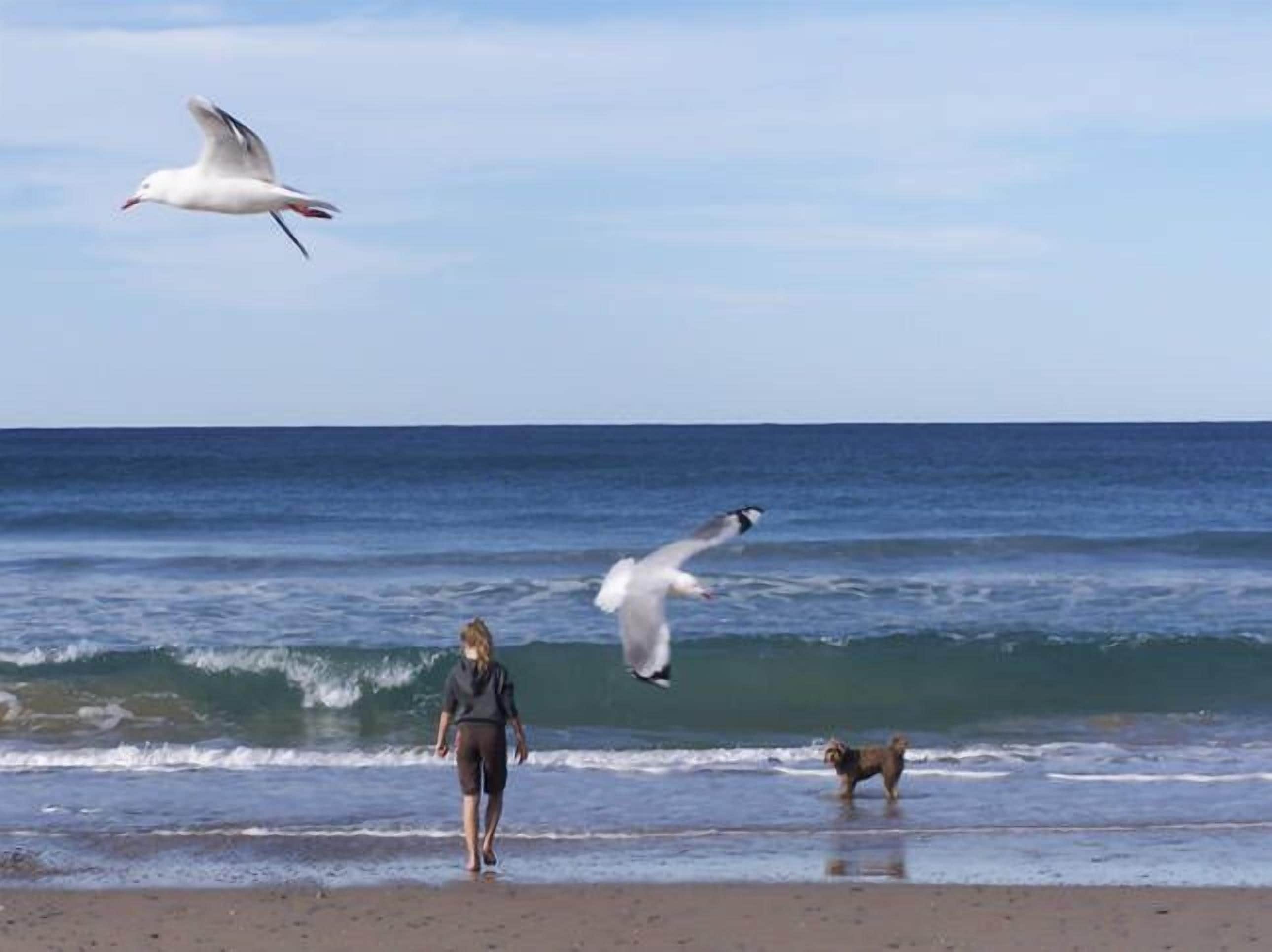 Beachcombers. Unit 3-Spacious, Comfy & GREAT Value