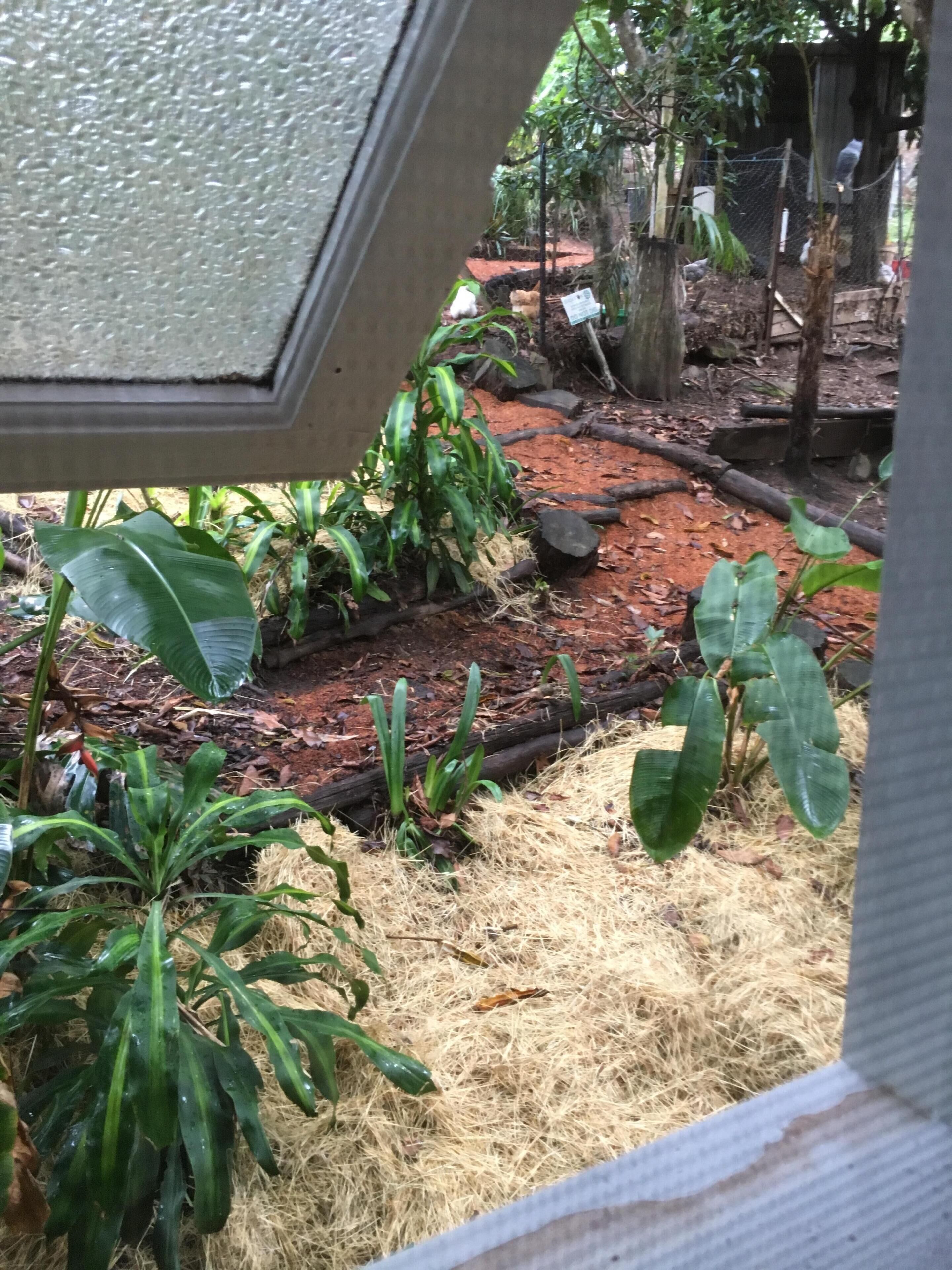 BRAND NEW Private retreat/cabin nestled in the forest and fully self contained