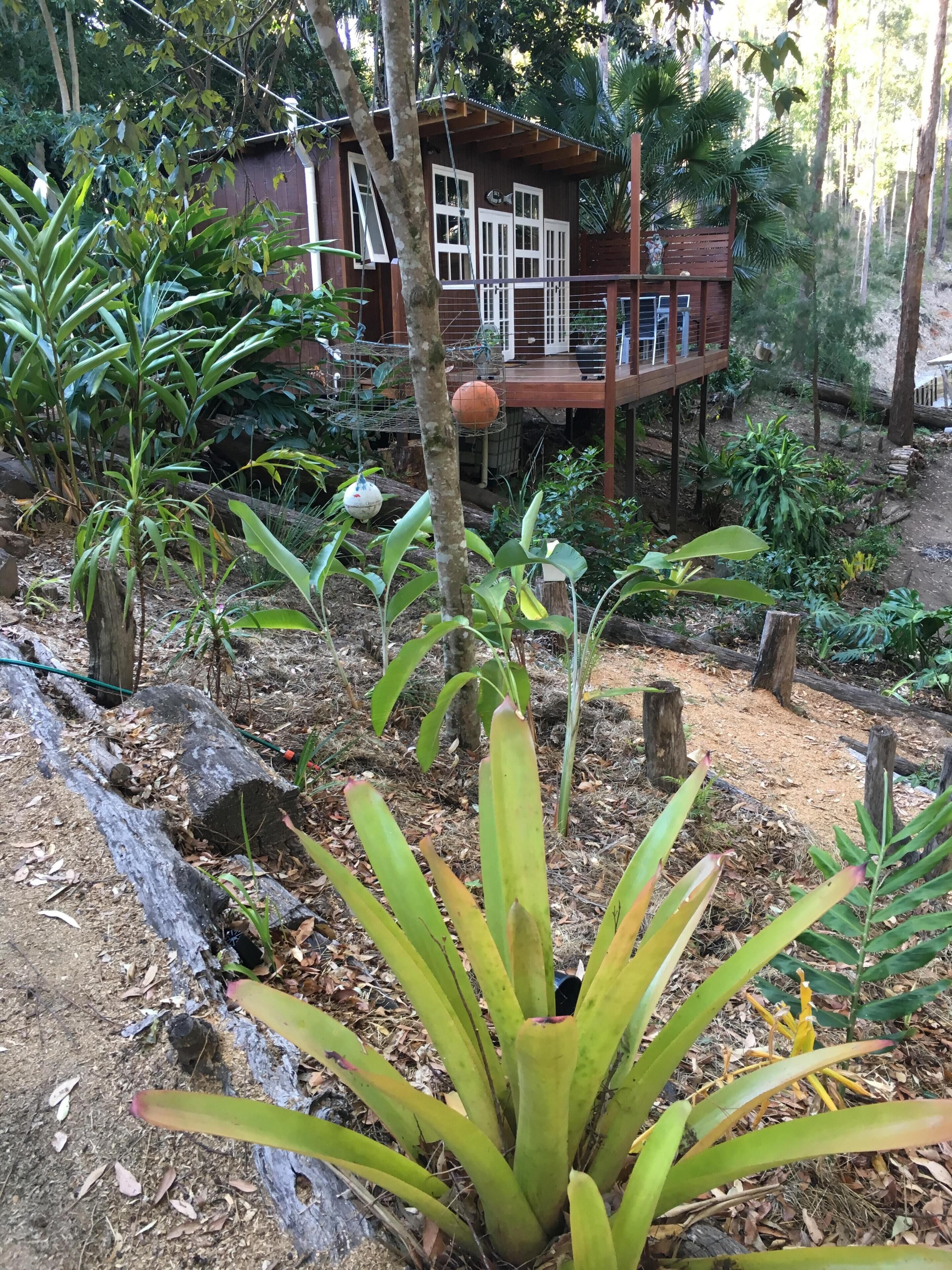 BRAND NEW Private retreat/cabin nestled in the forest and fully self contained