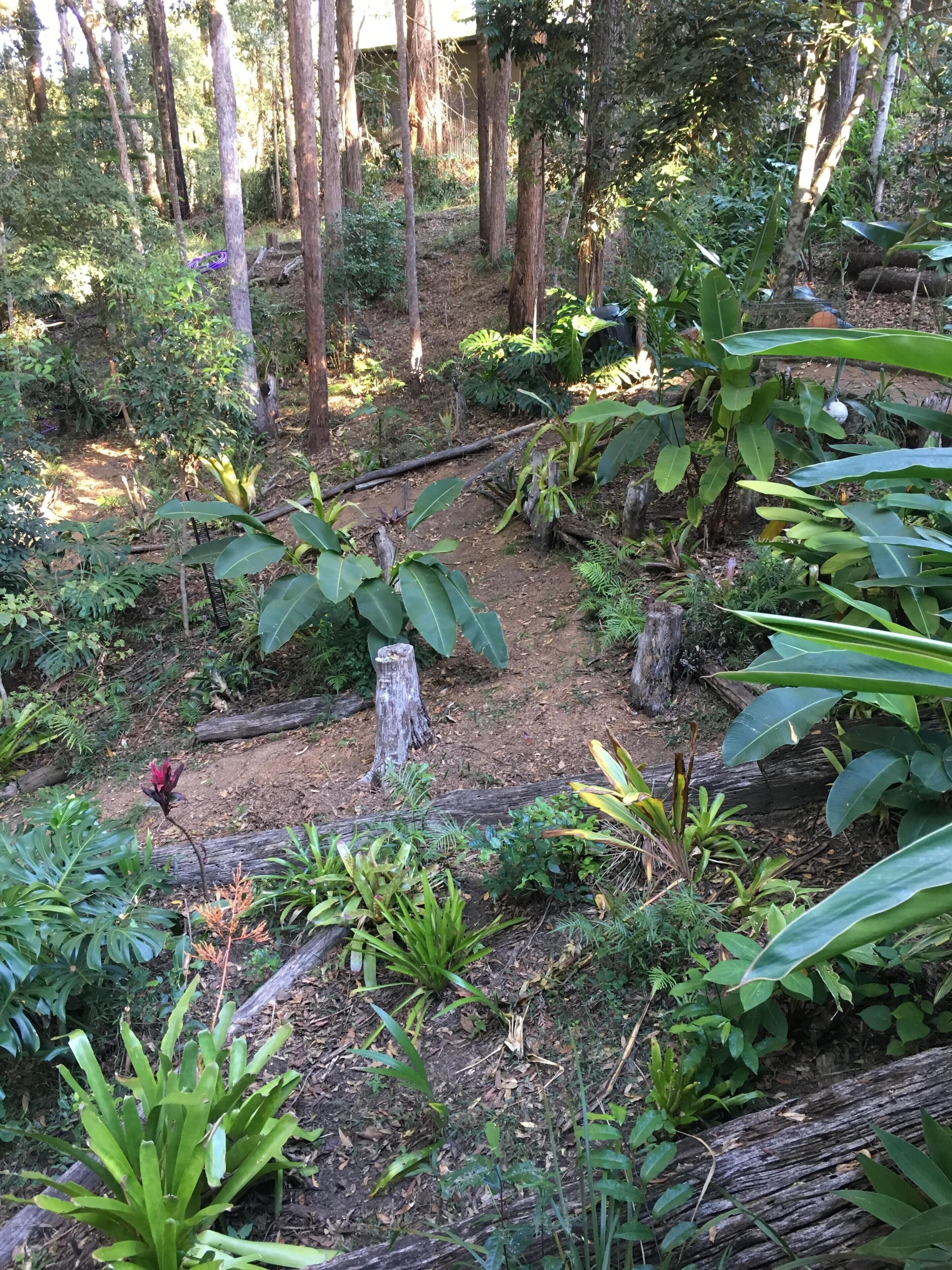 BRAND NEW Private retreat/cabin nestled in the forest and fully self contained