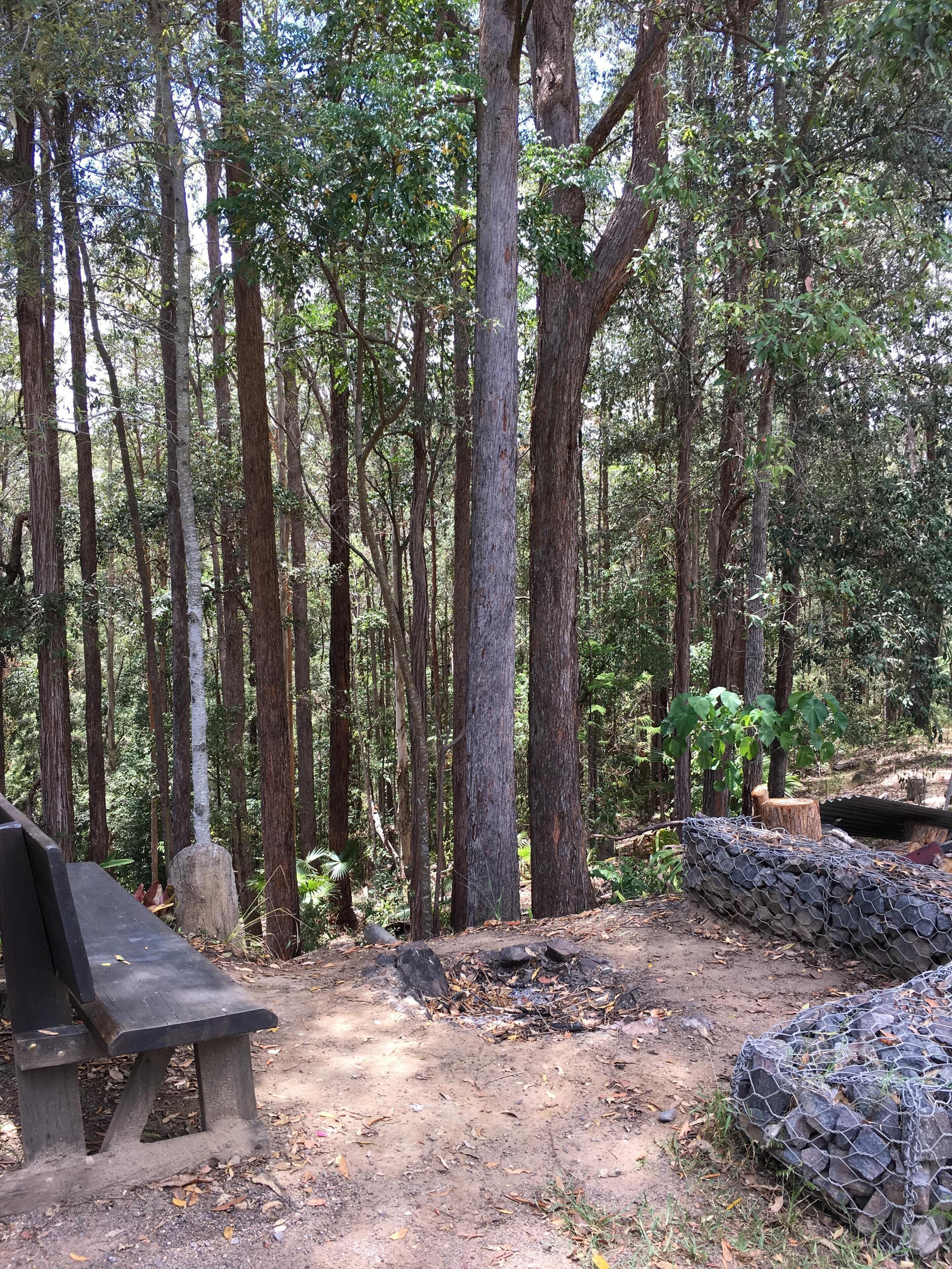 BRAND NEW Private retreat/cabin nestled in the forest and fully self contained