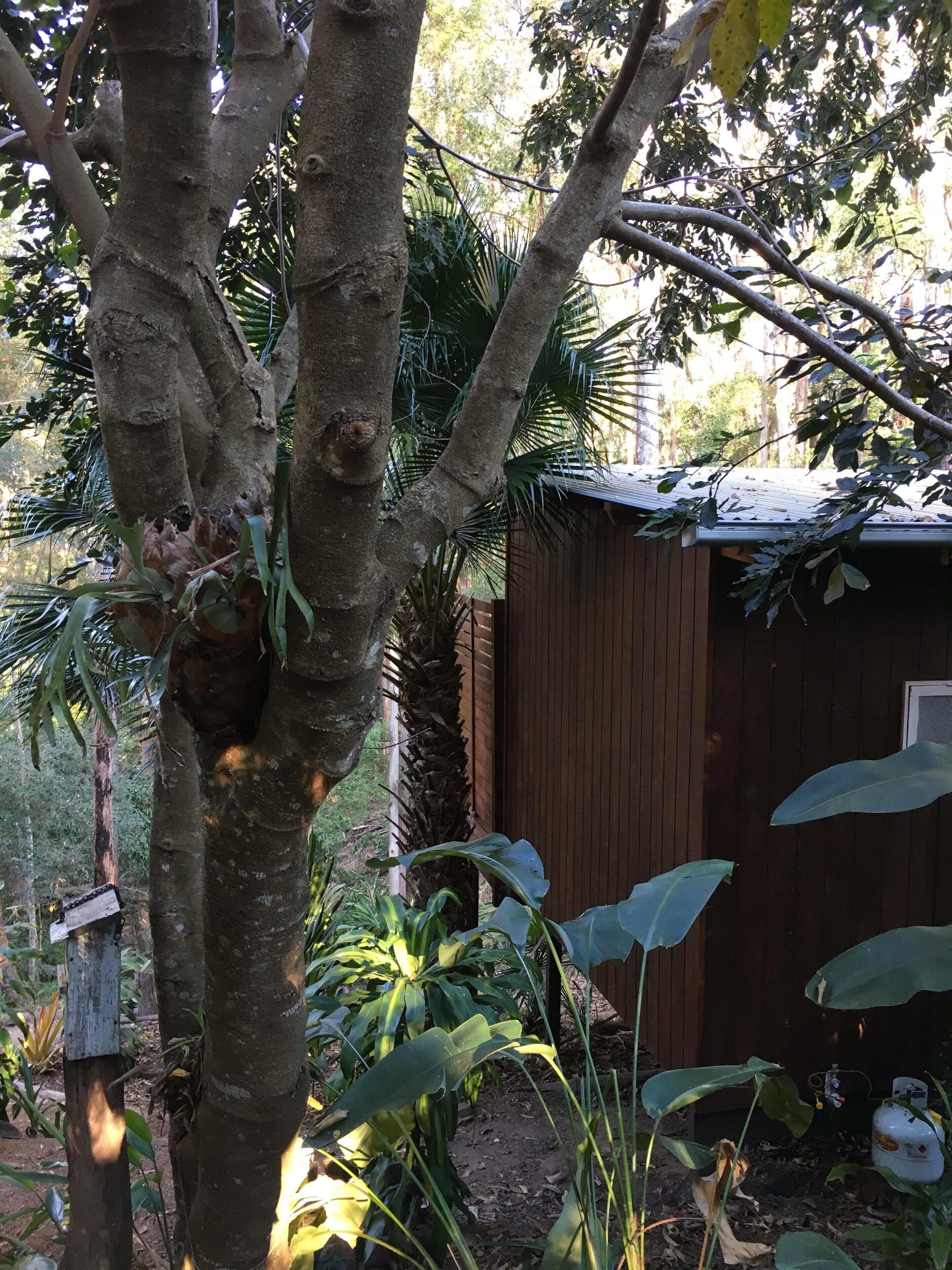 BRAND NEW Private retreat/cabin nestled in the forest and fully self contained