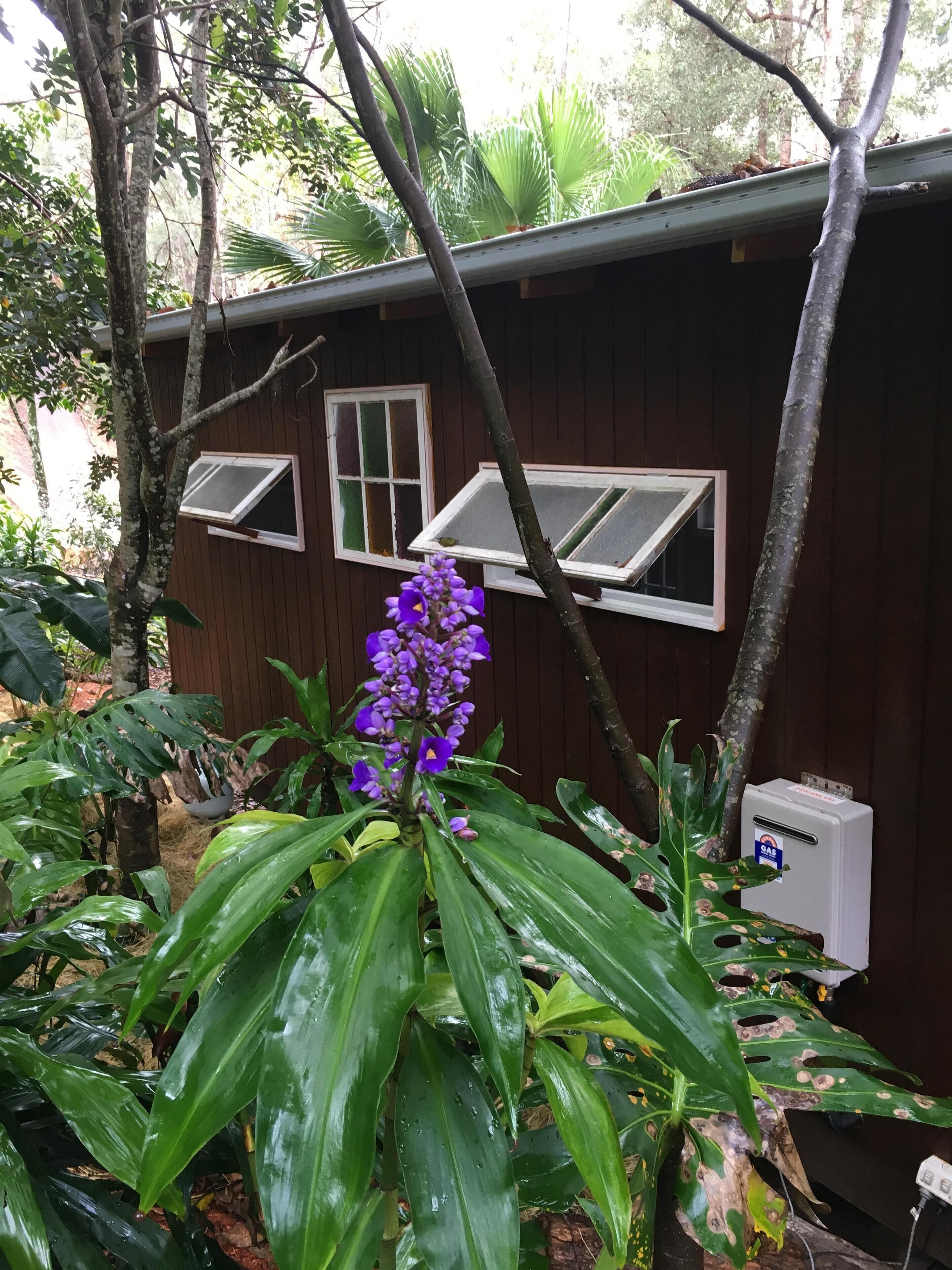 BRAND NEW Private retreat/cabin nestled in the forest and fully self contained