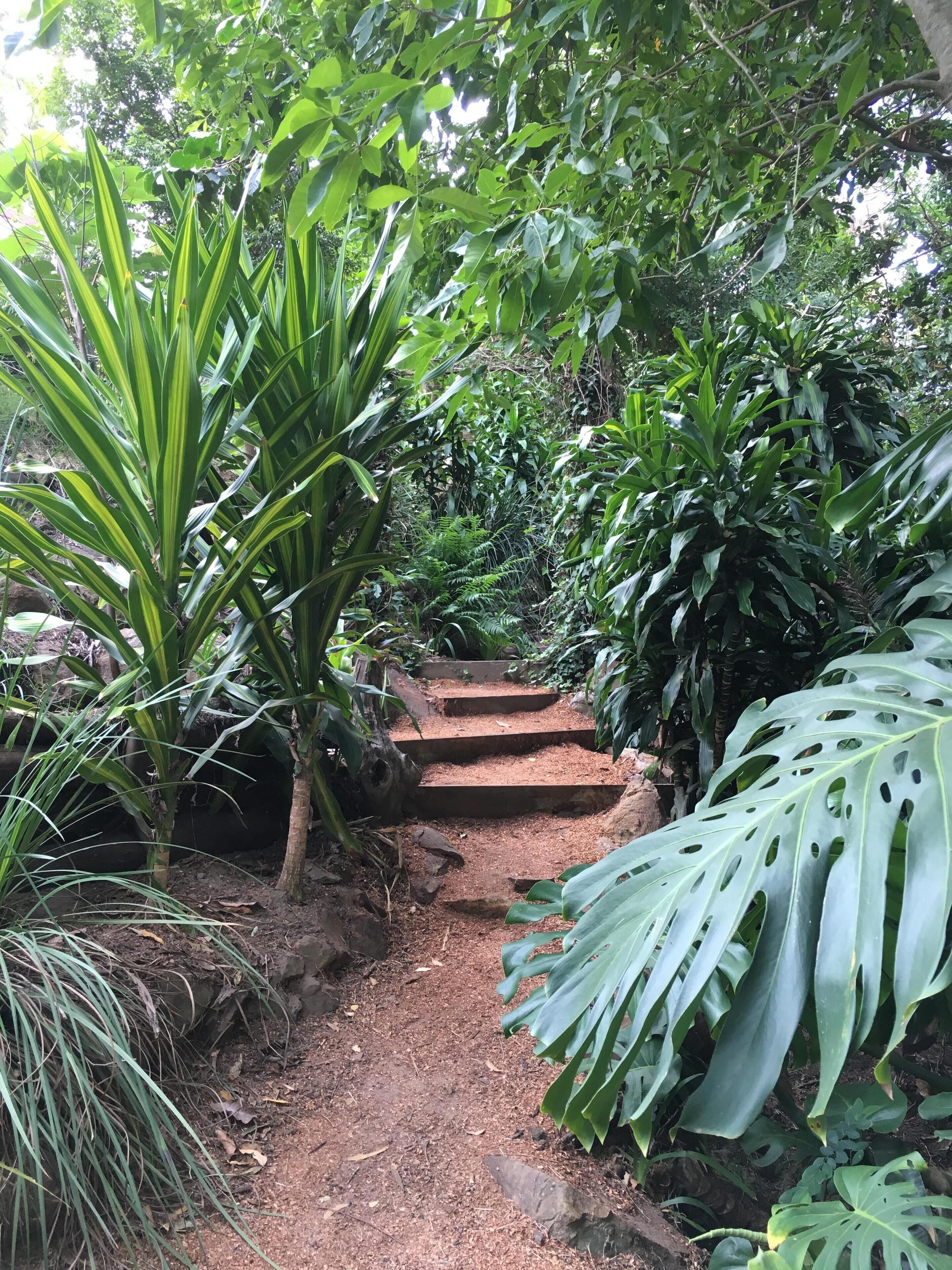 BRAND NEW Private retreat/cabin nestled in the forest and fully self contained