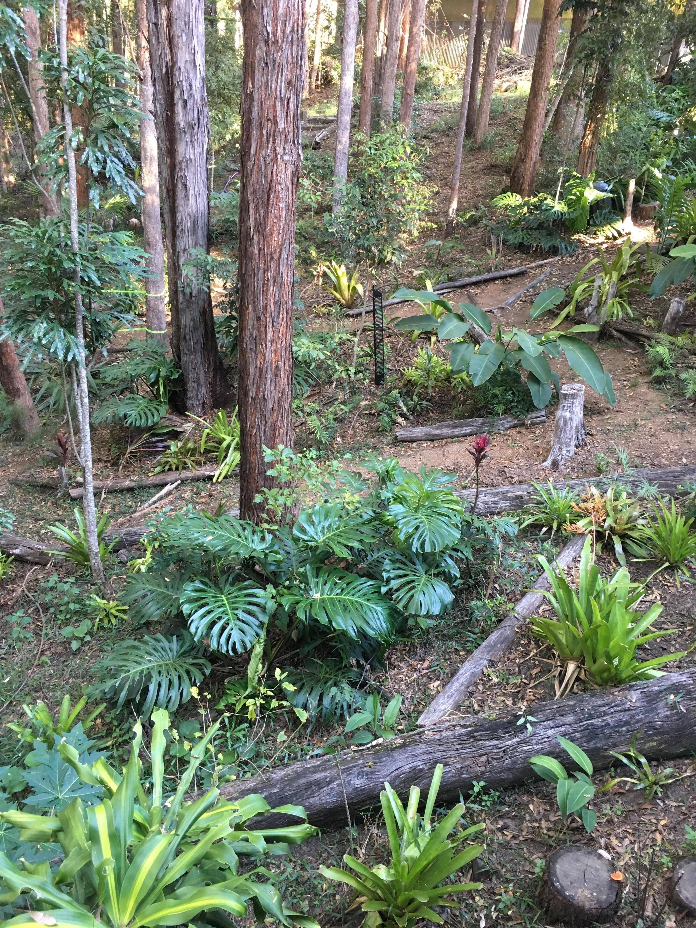 BRAND NEW Private retreat/cabin nestled in the forest and fully self contained