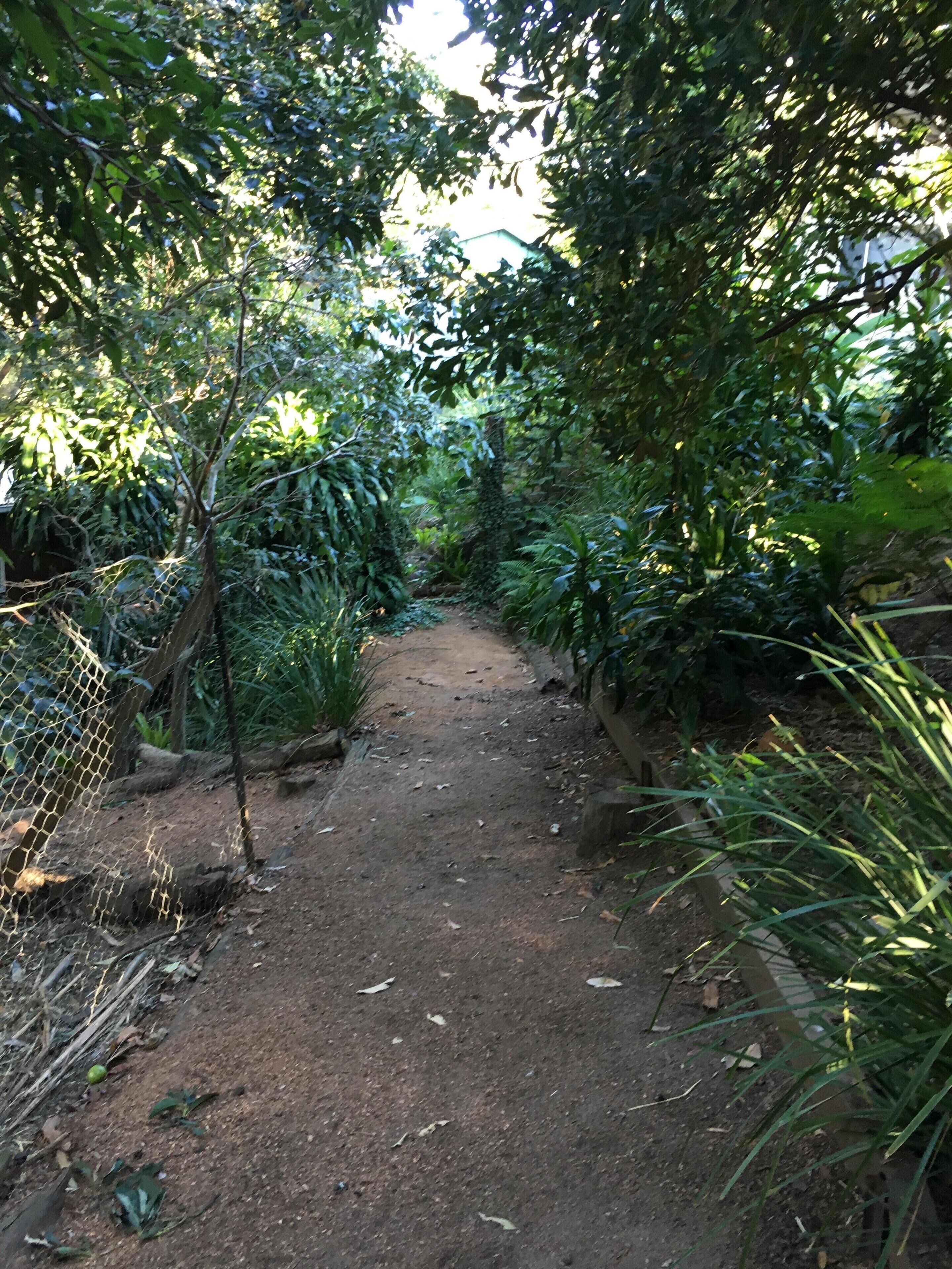 BRAND NEW Private retreat/cabin nestled in the forest and fully self contained