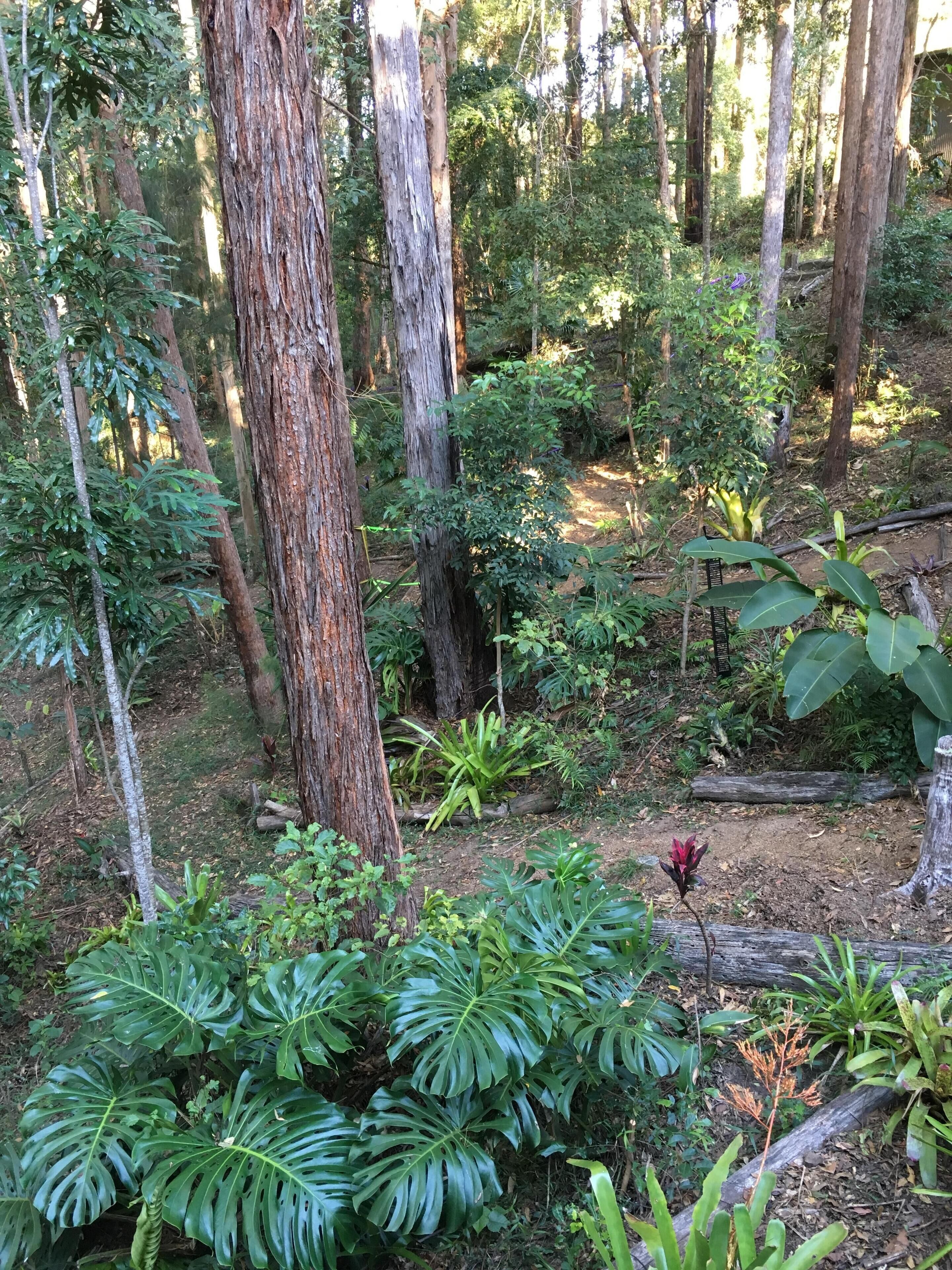 BRAND NEW Private retreat/cabin nestled in the forest and fully self contained