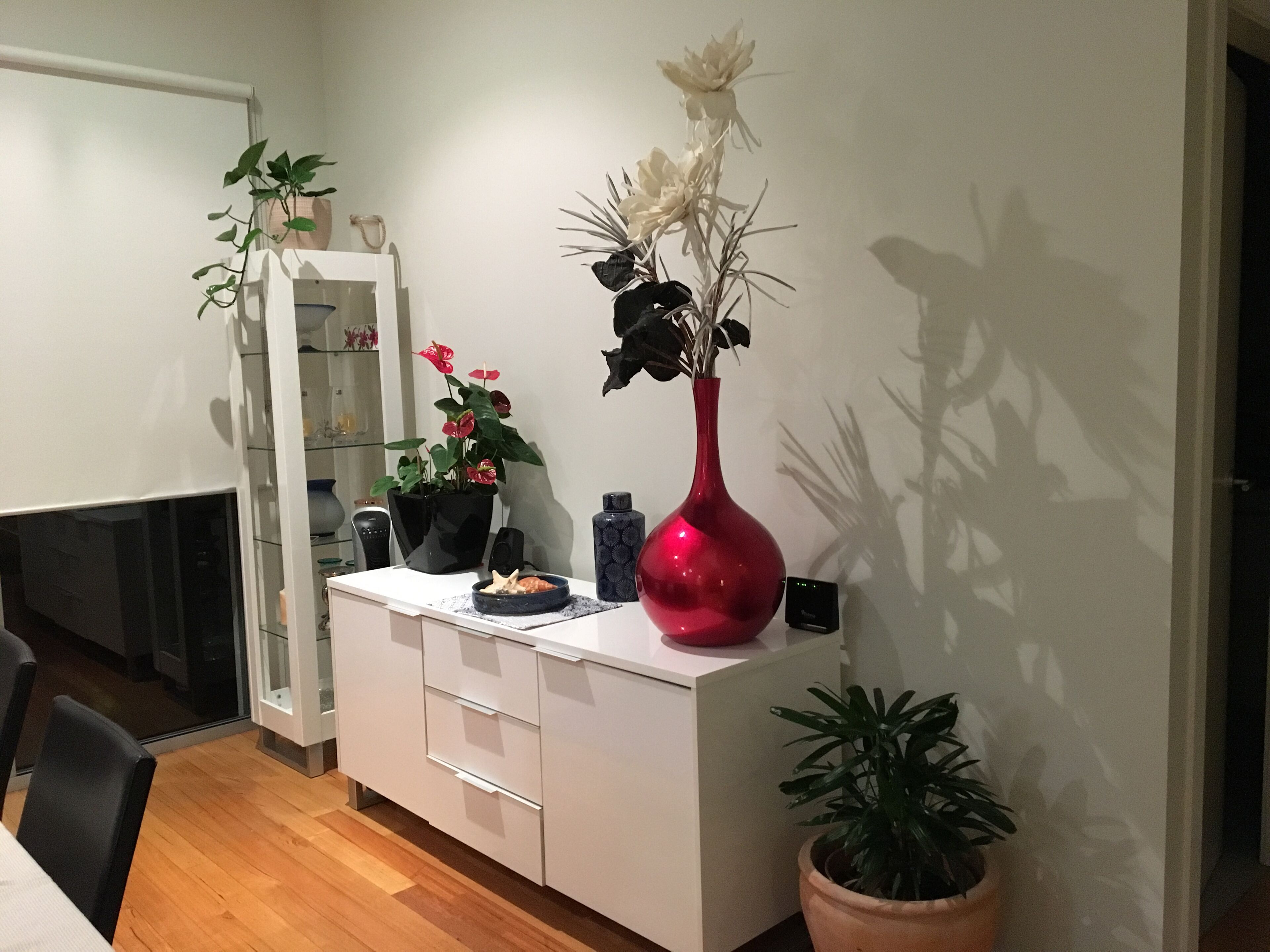 Family holiday right near Diggers Beach and shops. Light filled spacious home.