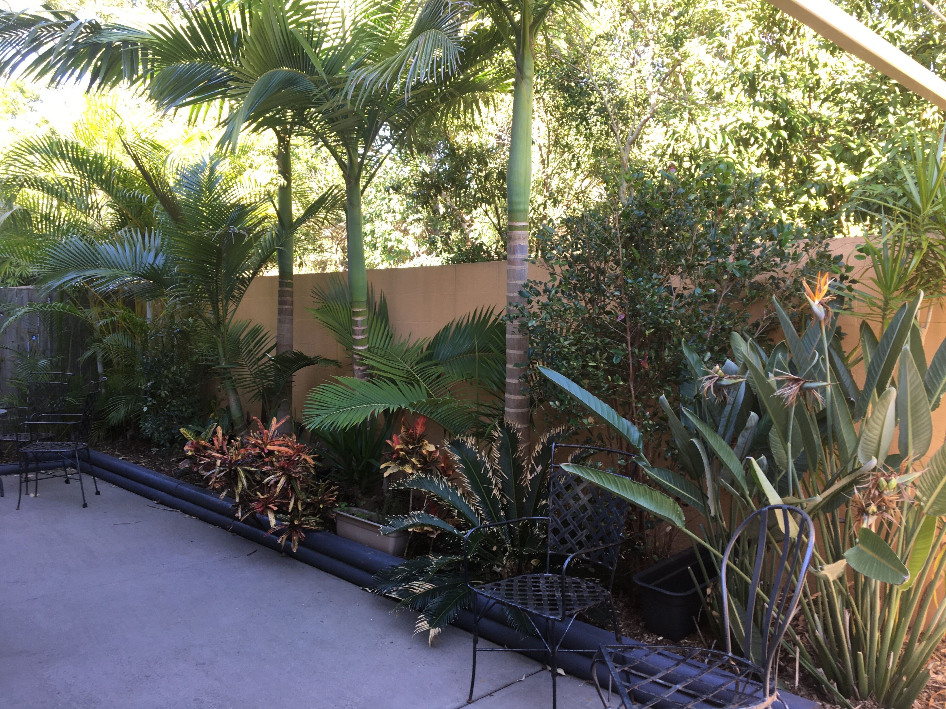 Family holiday right near Diggers Beach and shops. Light filled spacious home.