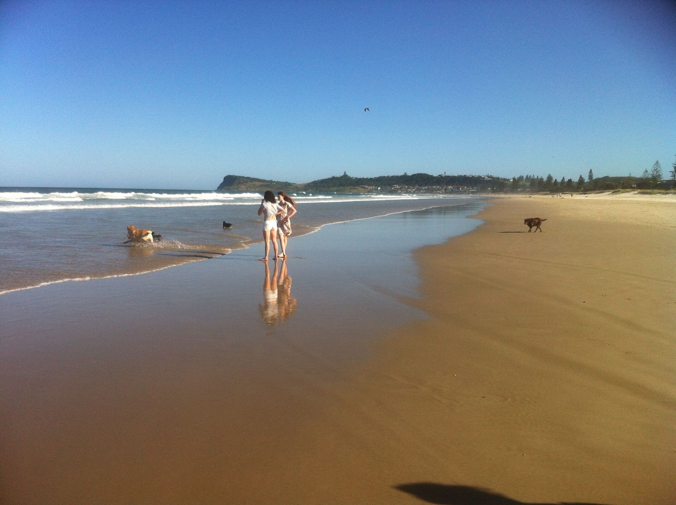 Ocean vista retreat near Lennox Head & Byron Bay.
