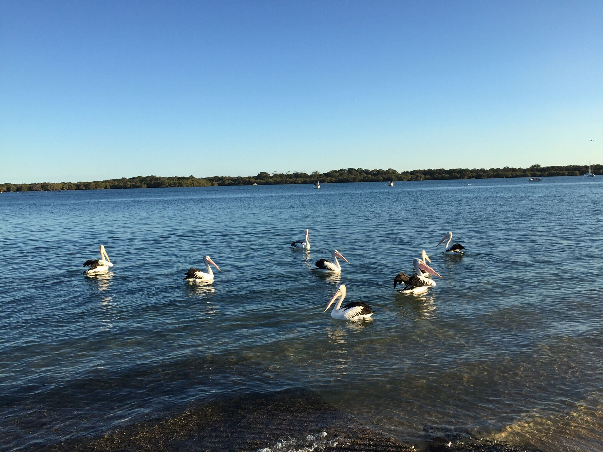 Ocean vista retreat near Lennox Head & Byron Bay.