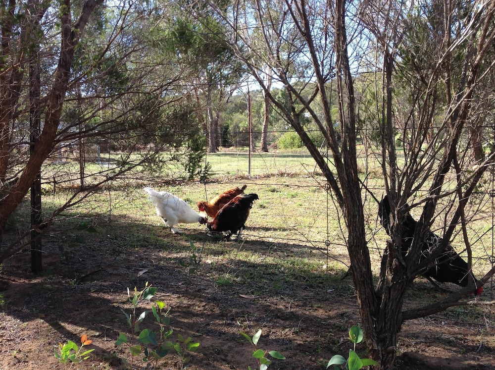 Toodyay Luxury Accommodation