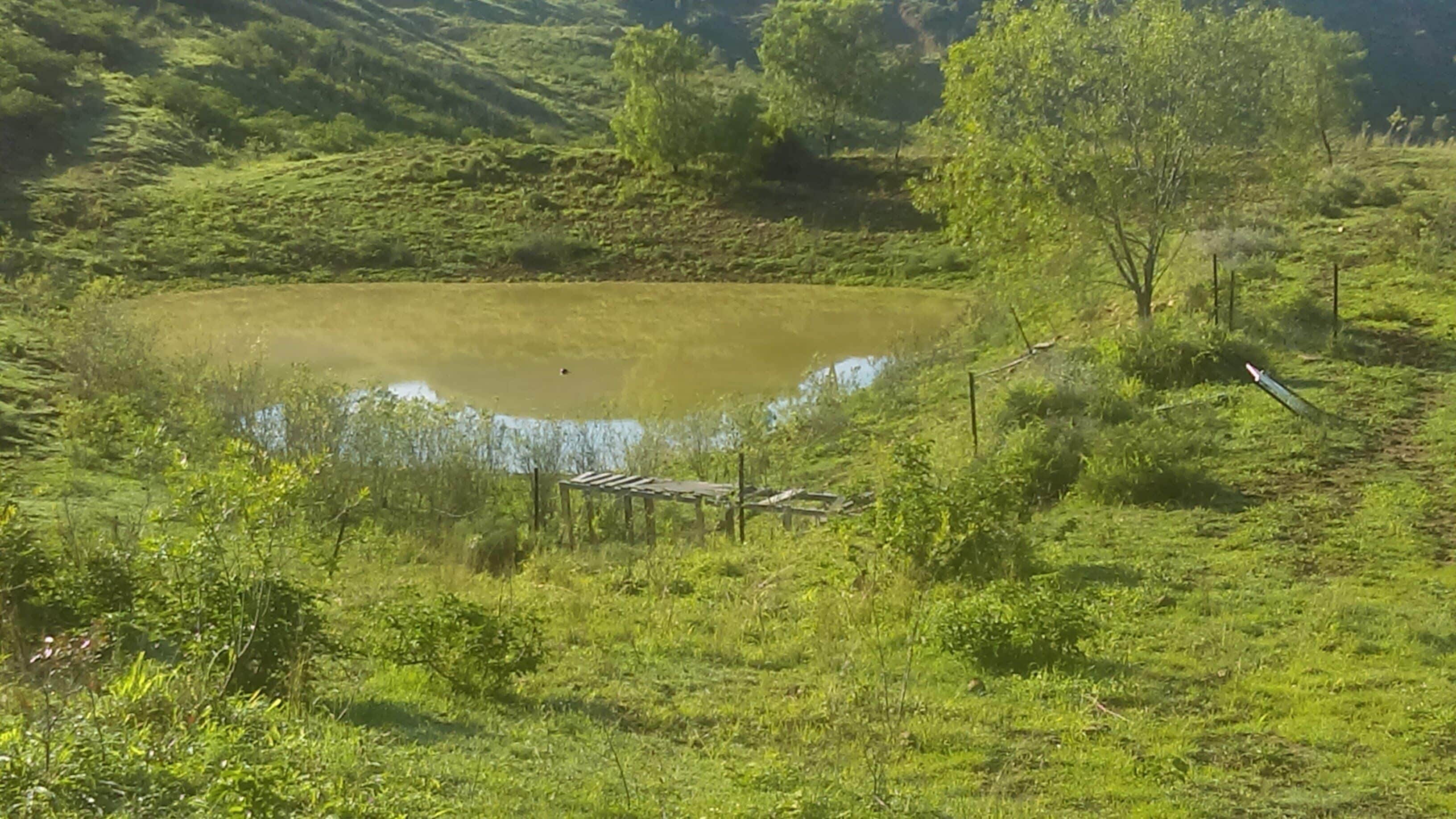 Your country escape in the Lockyer Valley