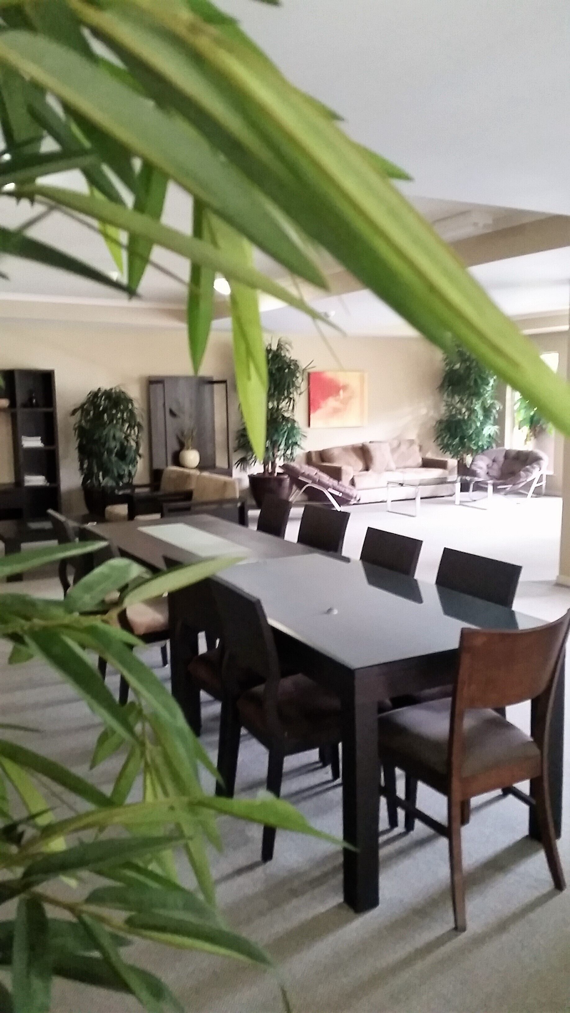 Luxury Tropical Apartment FREE WIFI on ground floor with lift to car park