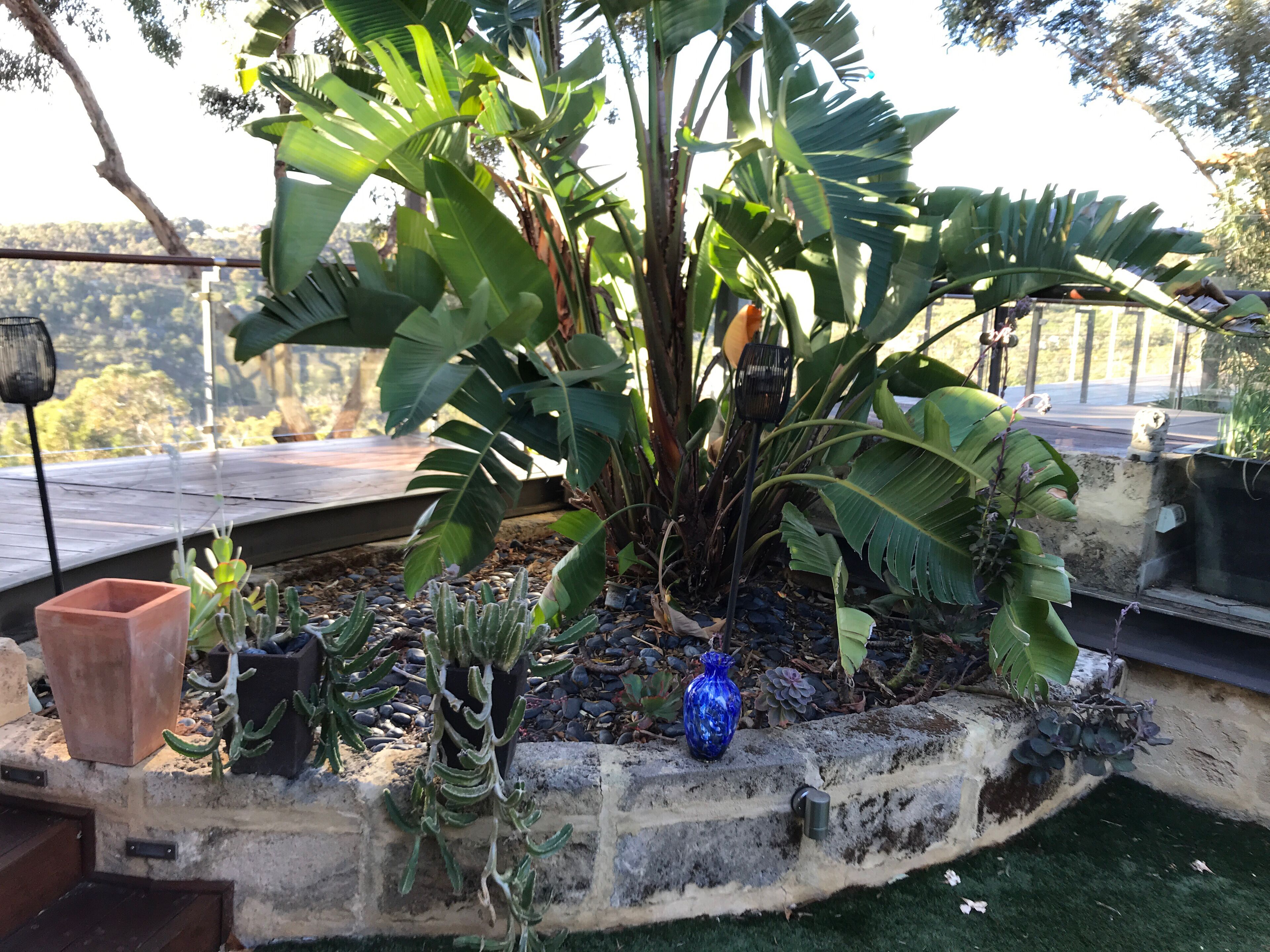Luxury Treehouse in the Australian bush