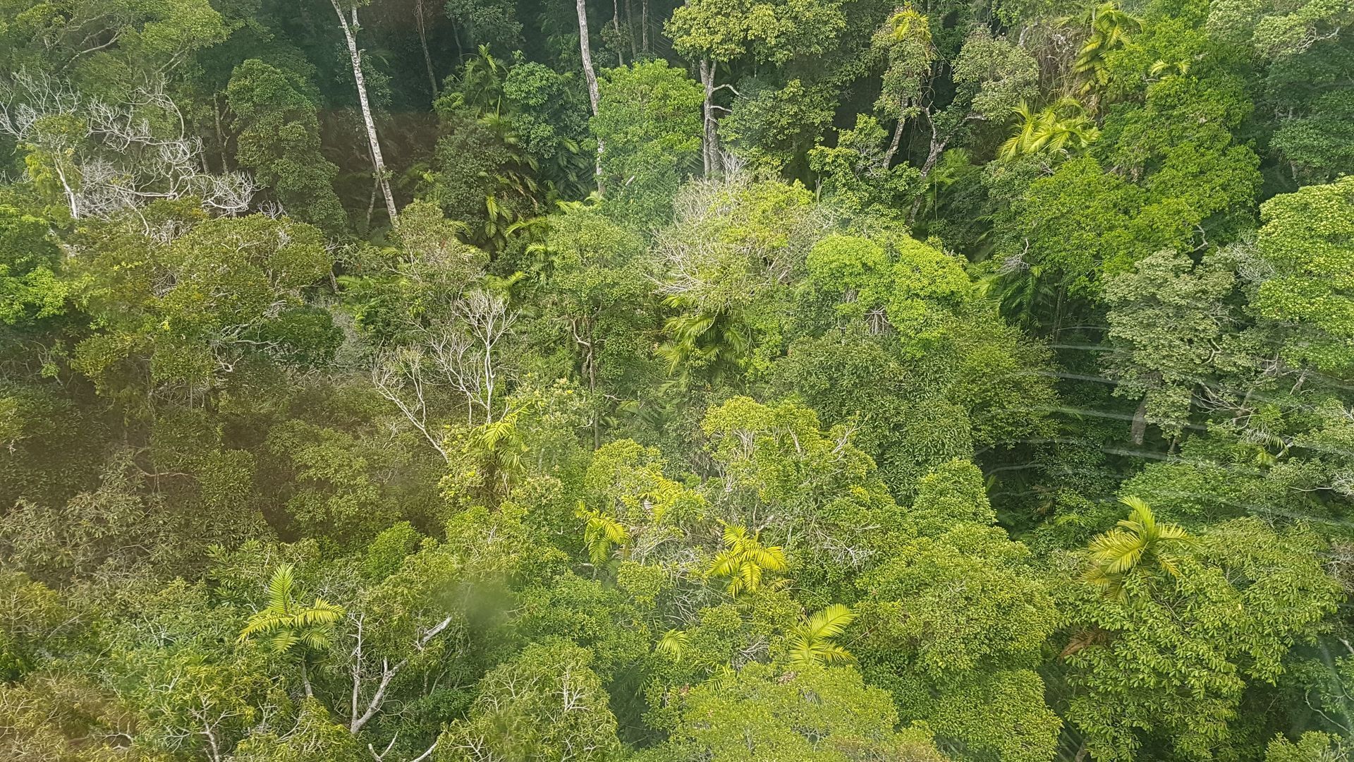 breakfree royal harbour