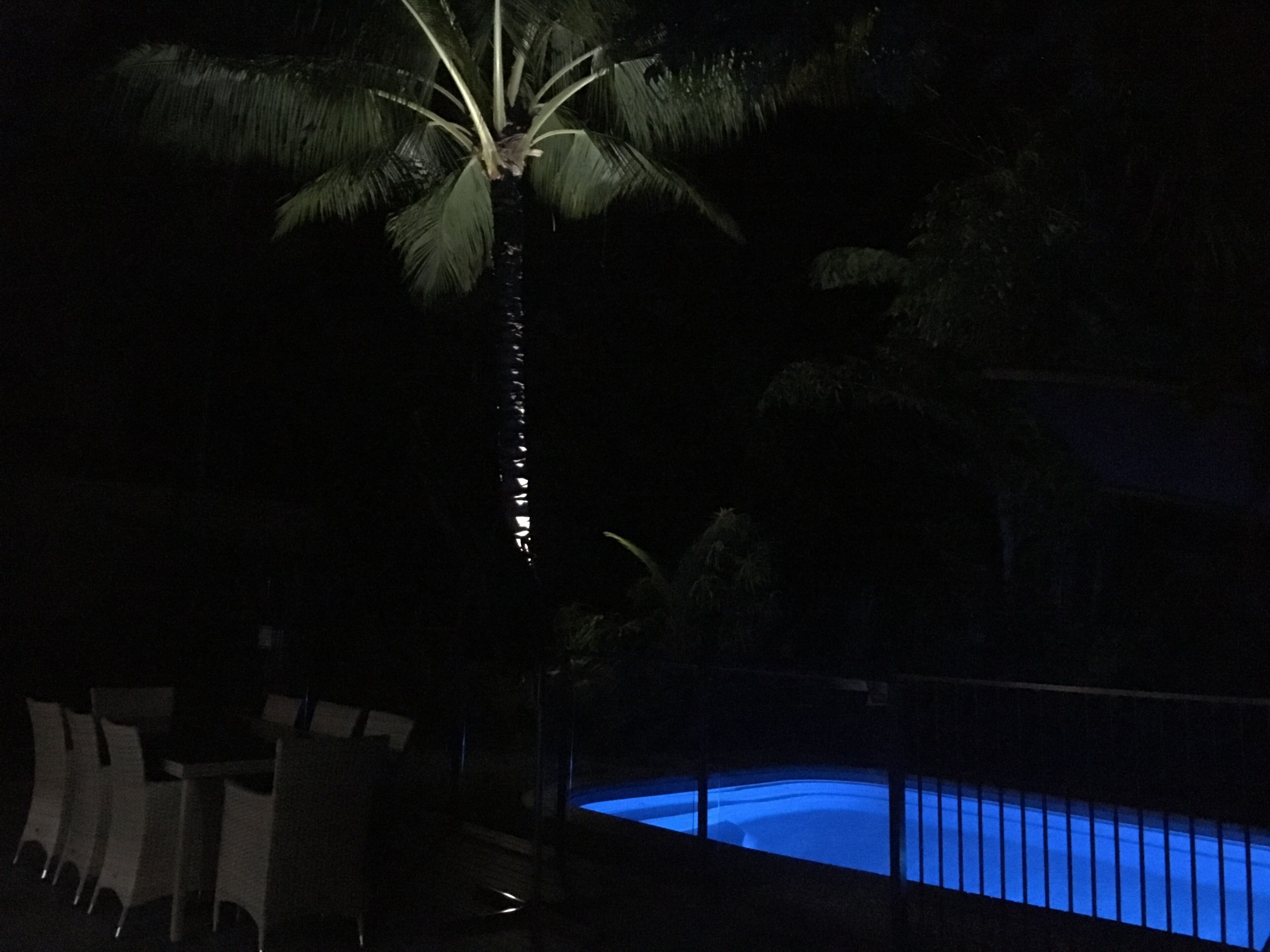 Tropical Private Open Space at Trinity