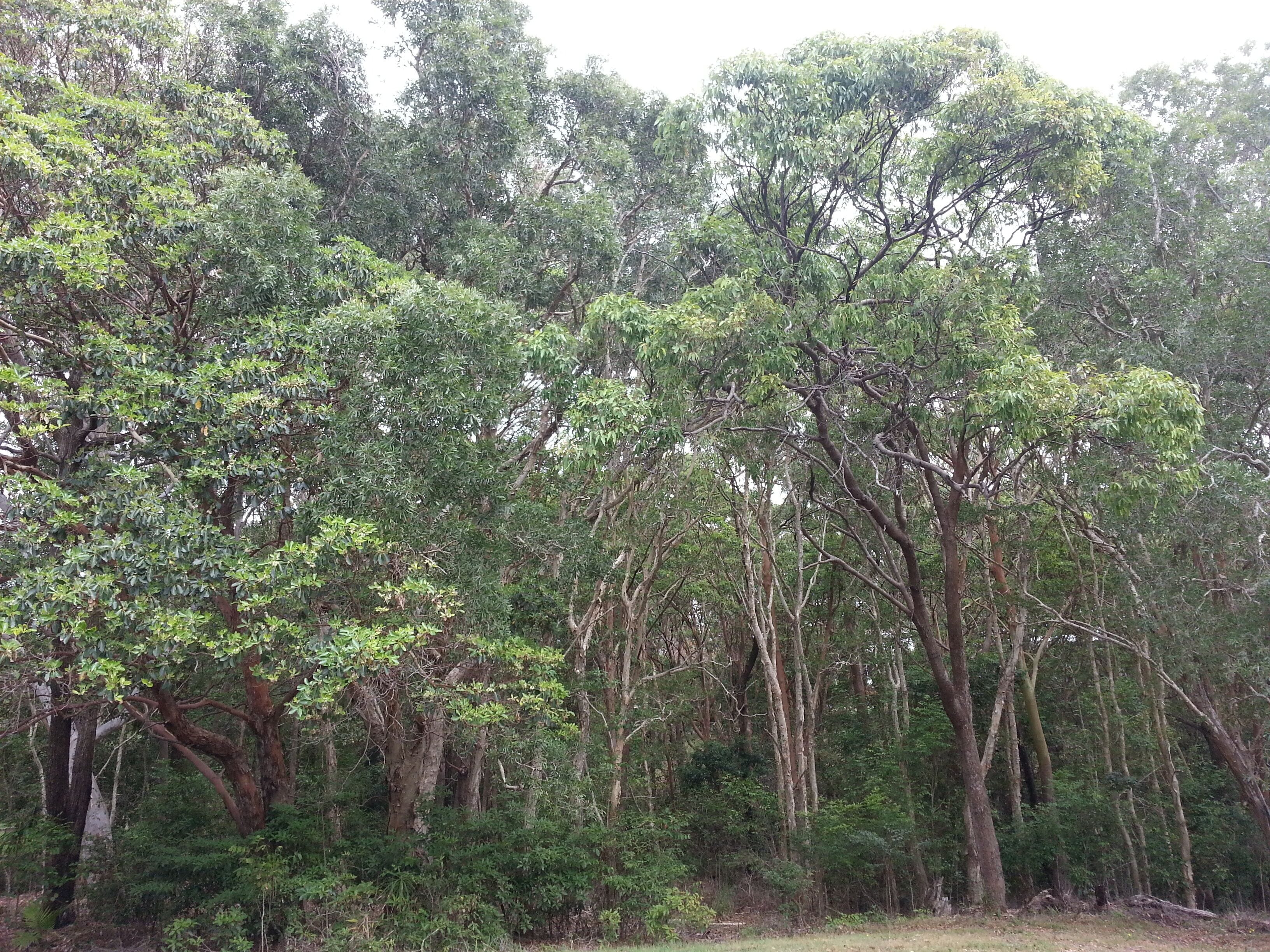 Off peak specials! Oceanview Romantic Castle for Two in charming Valla Beach