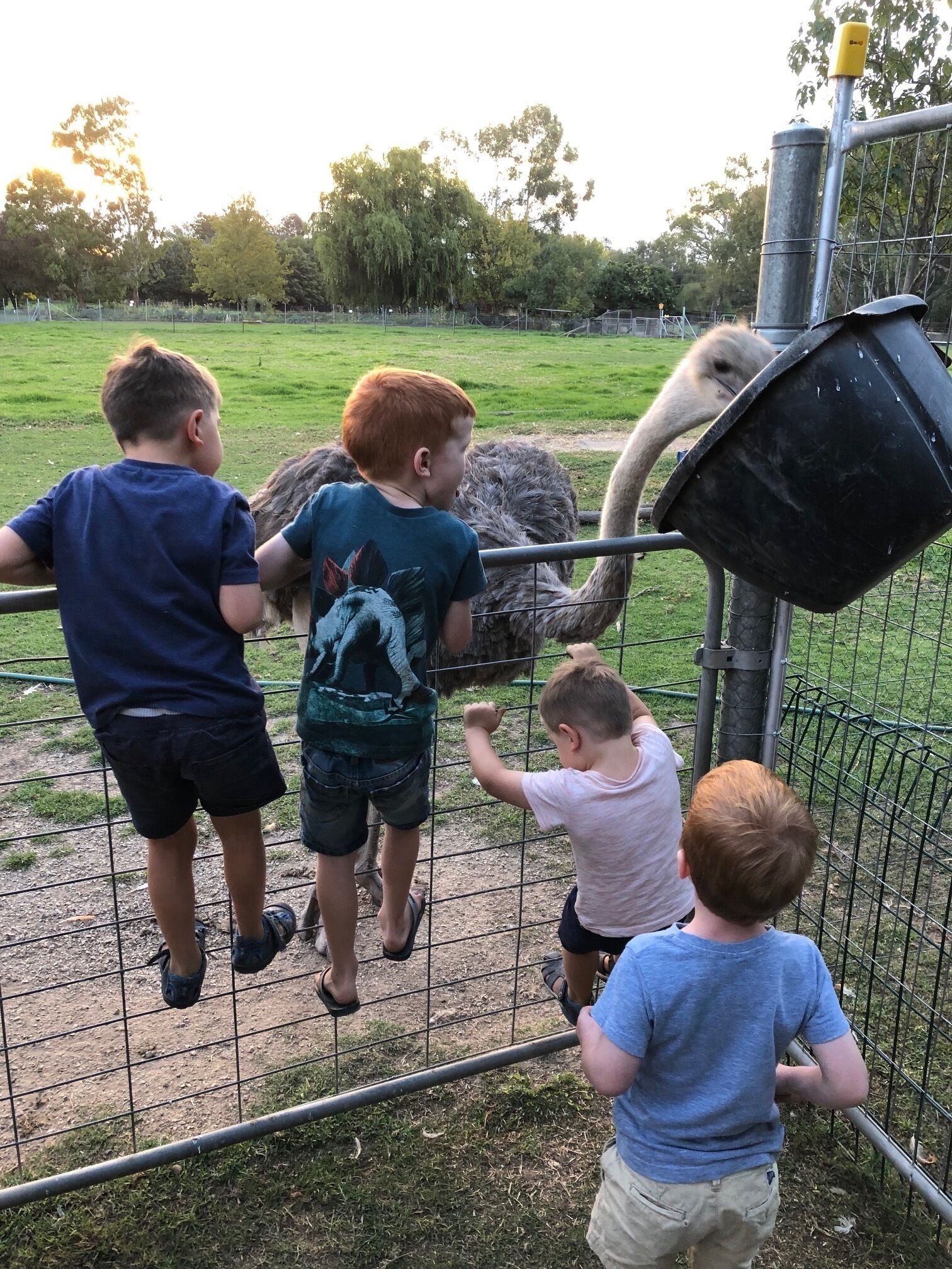 Mudgees Getaway Cottages