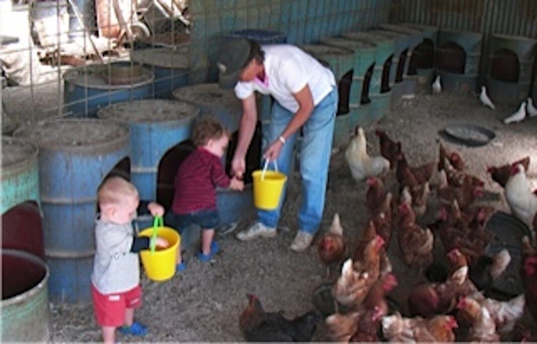 Mudgees Getaway Cottages