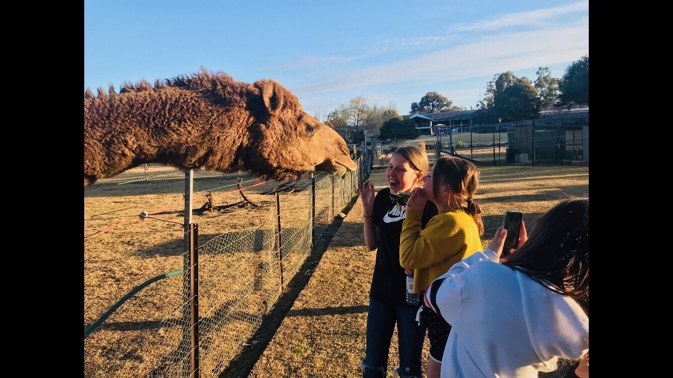 Mudgees Getaway Cottages