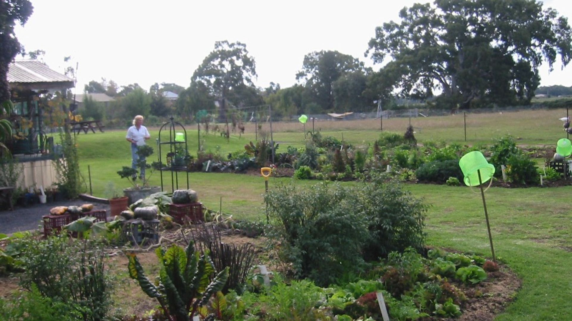 Mudgees Getaway Cottages