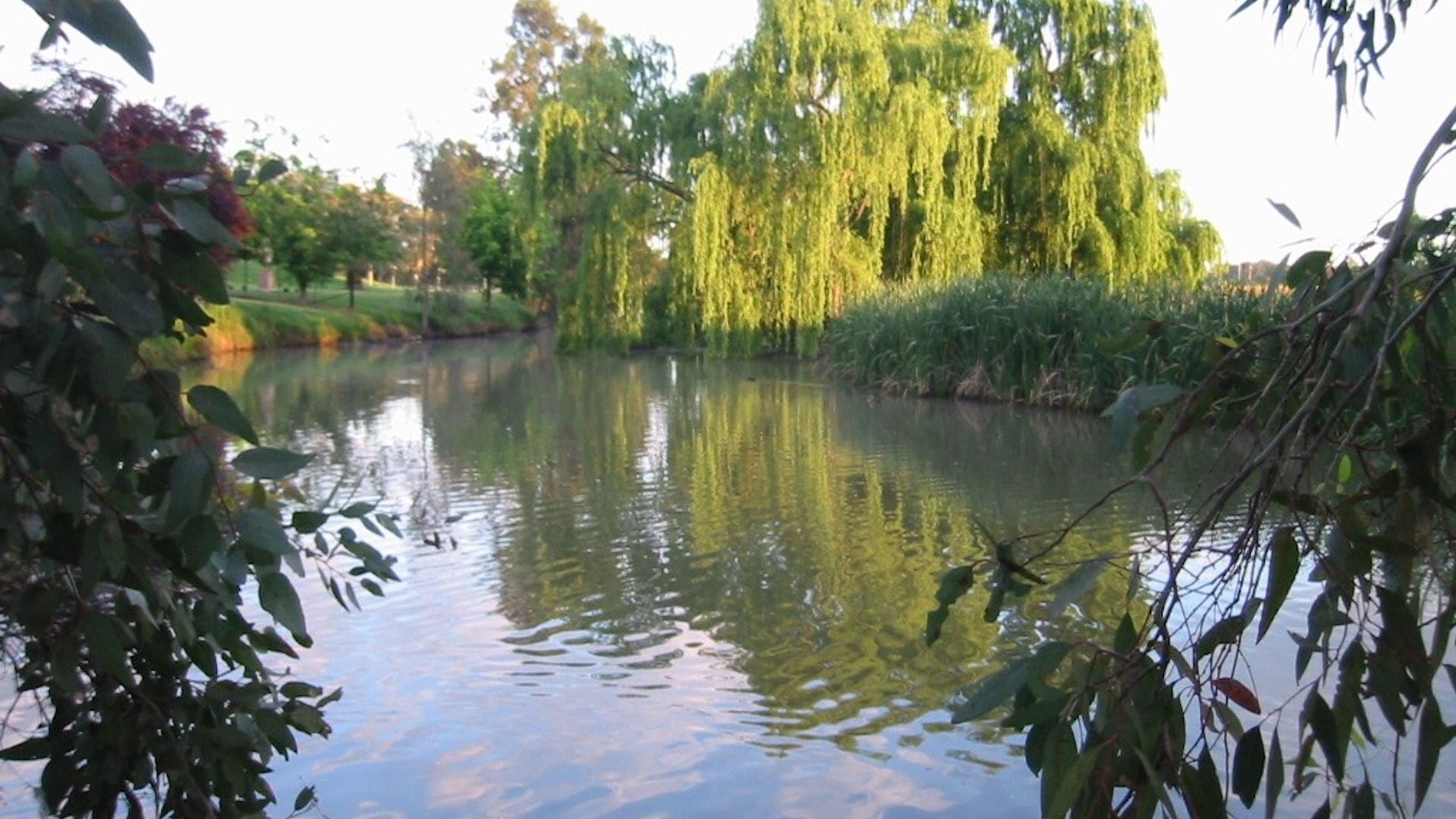 Mudgees Getaway Cottages