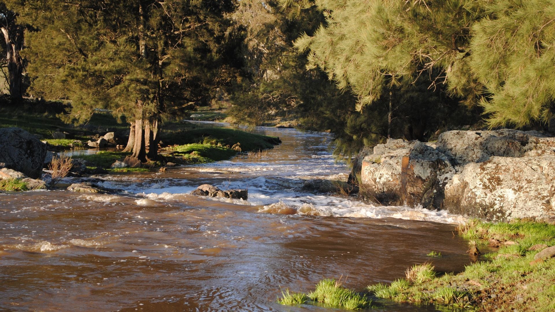 Waterloo Stockmans Cottage - Historic Rural Property