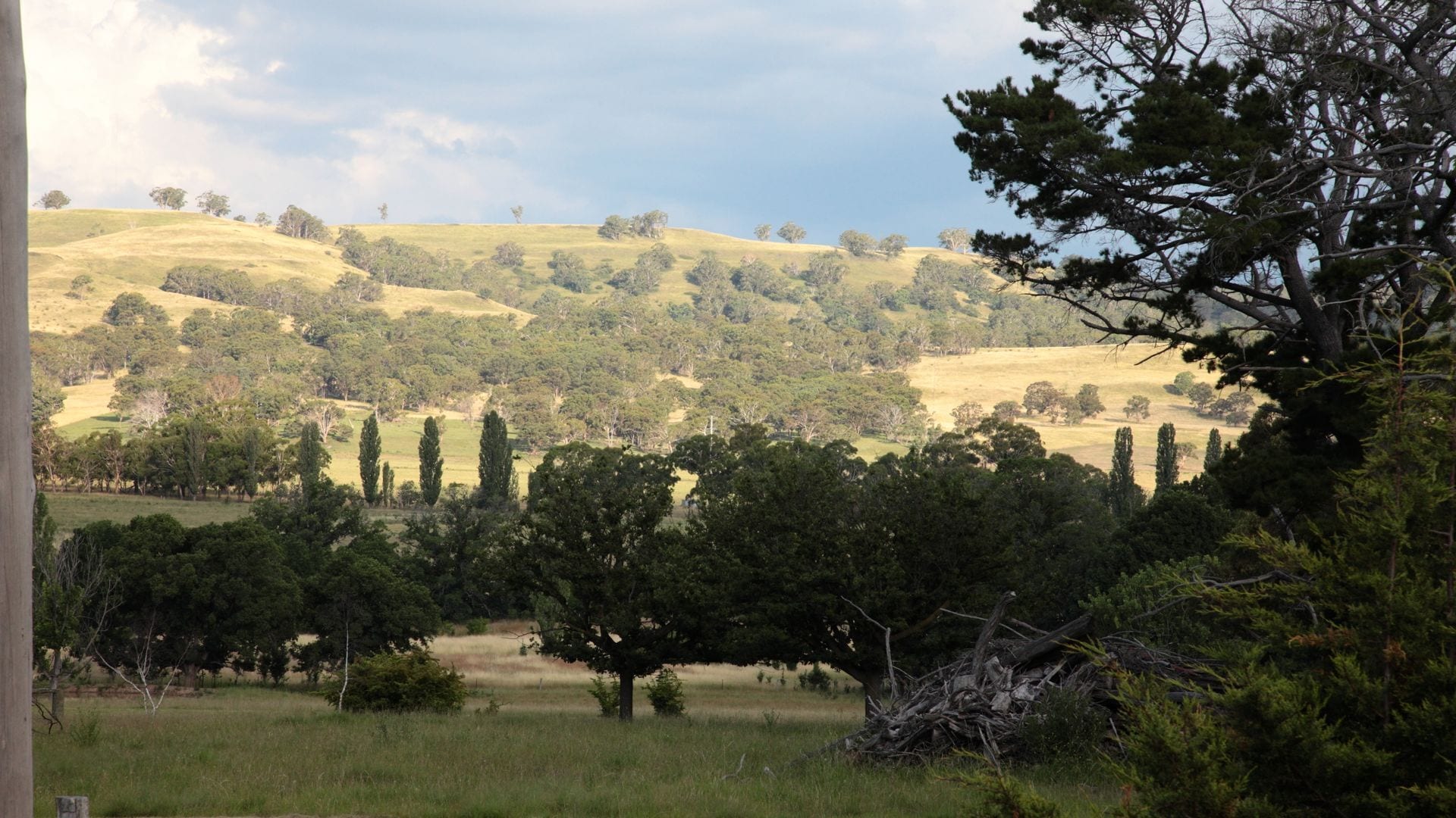 Waterloo Stockmans Cottage - Historic Rural Property