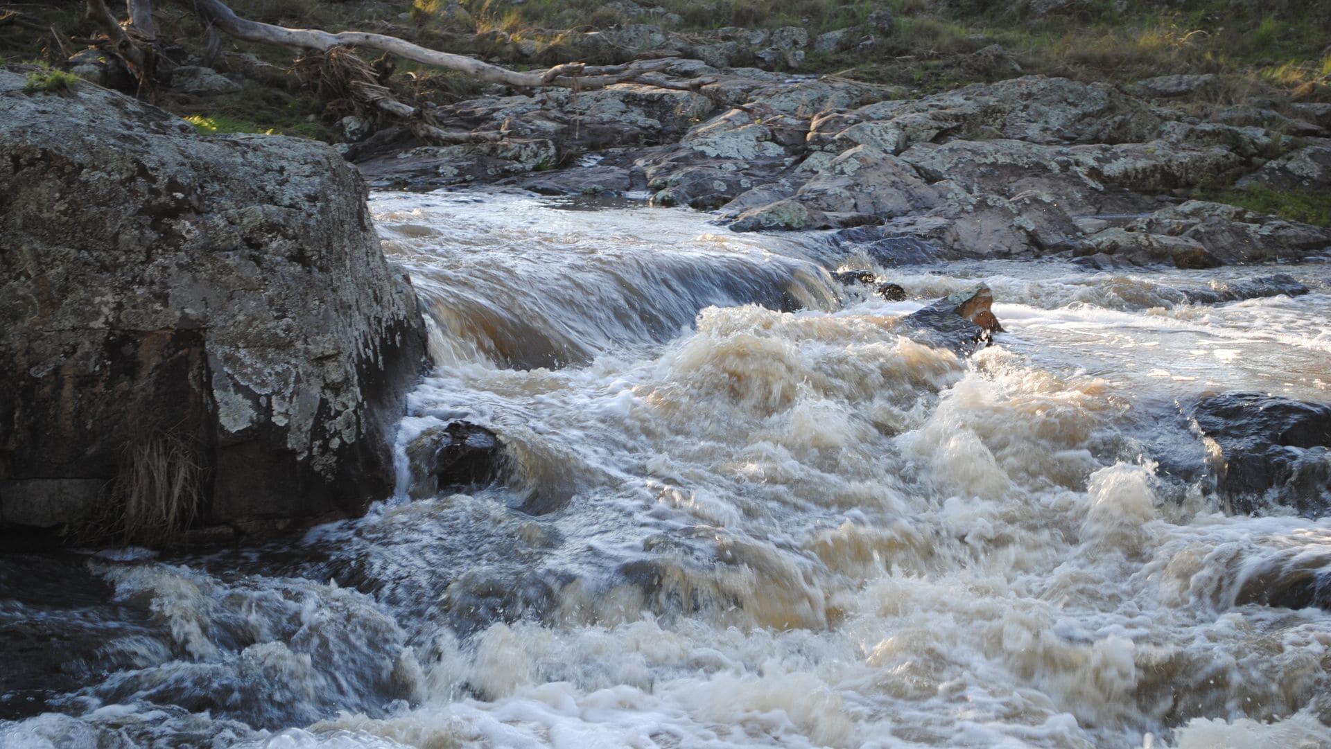 Waterloo Stockmans Cottage - Historic Rural Property
